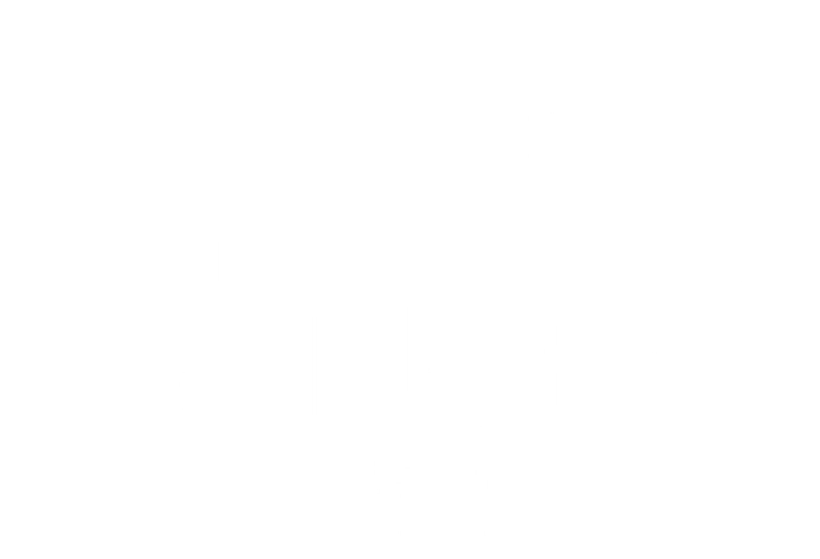 로드러너: 앤서니 보데인에 대하여