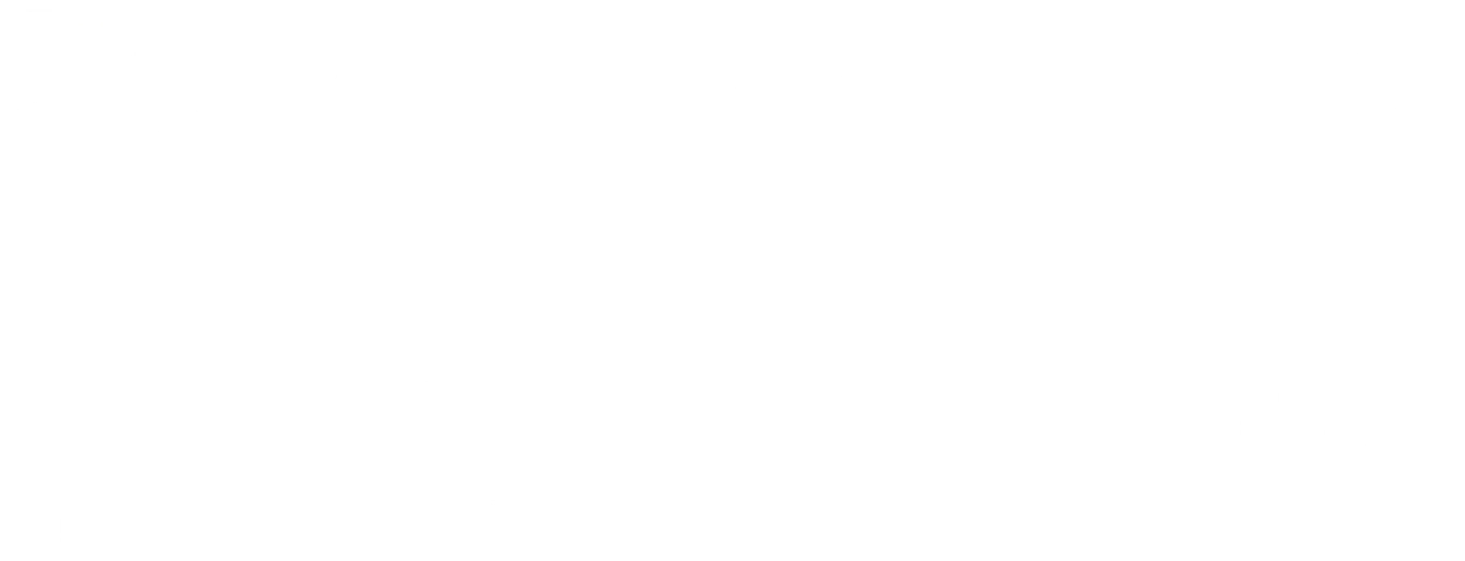 조지 스톤의 드림라이프