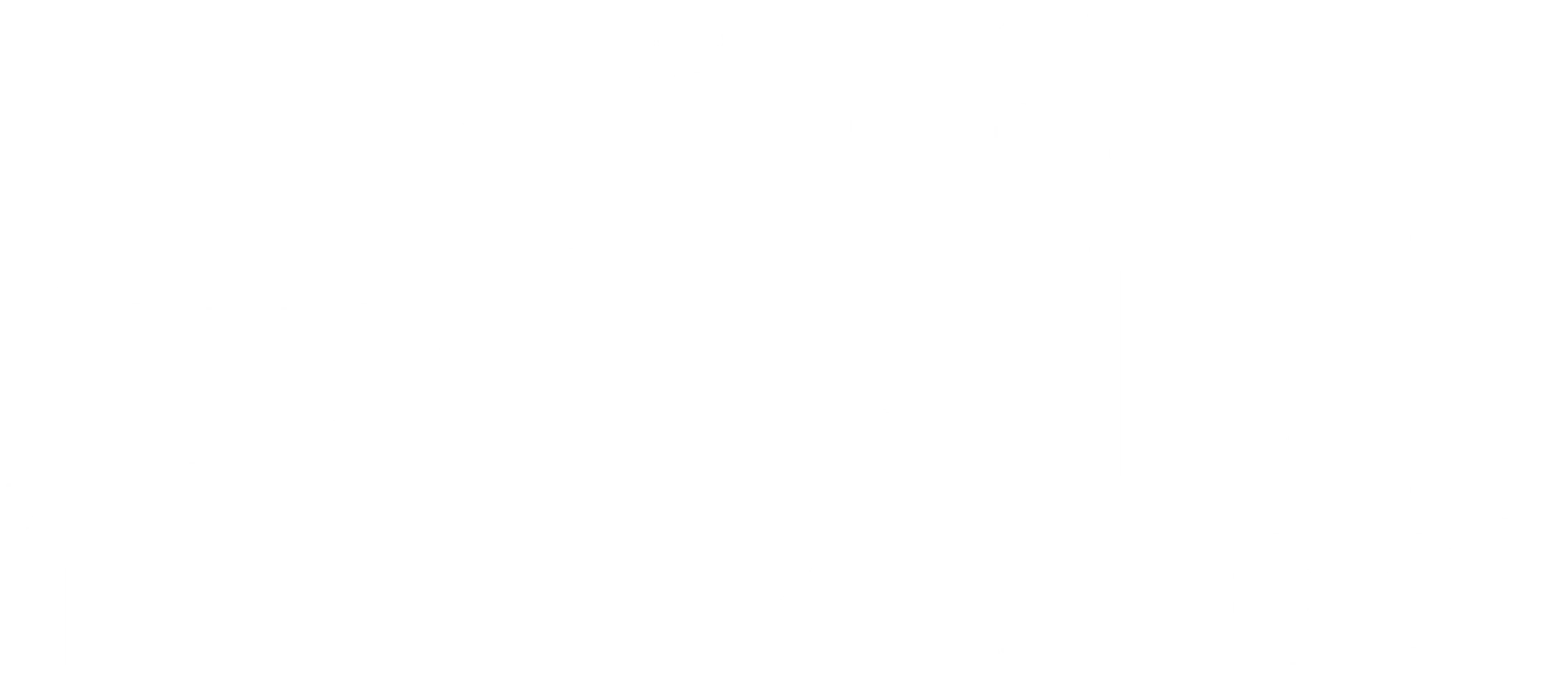 비욘세의 홈커밍