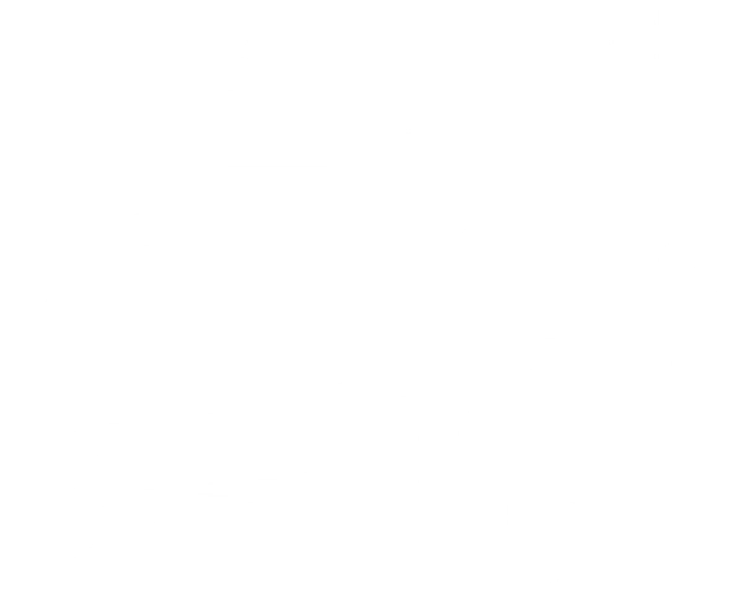 앨리 웡: 돈 웡