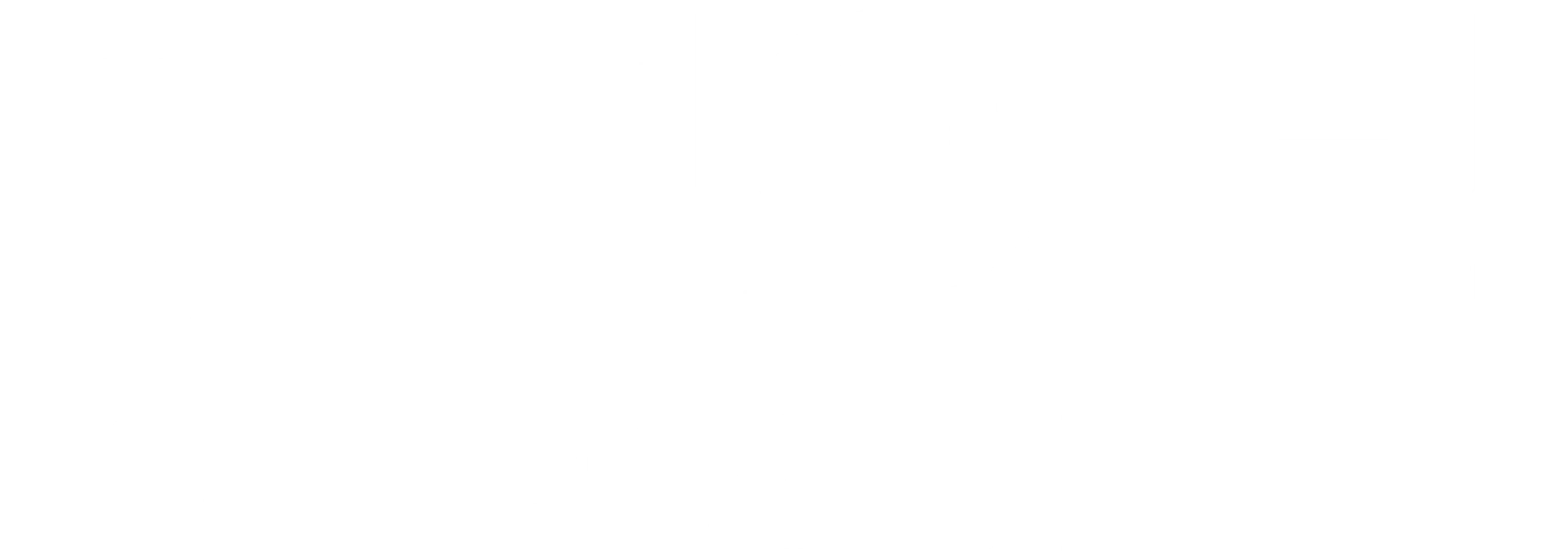 지구의 밤: 어둠 속의 카메라