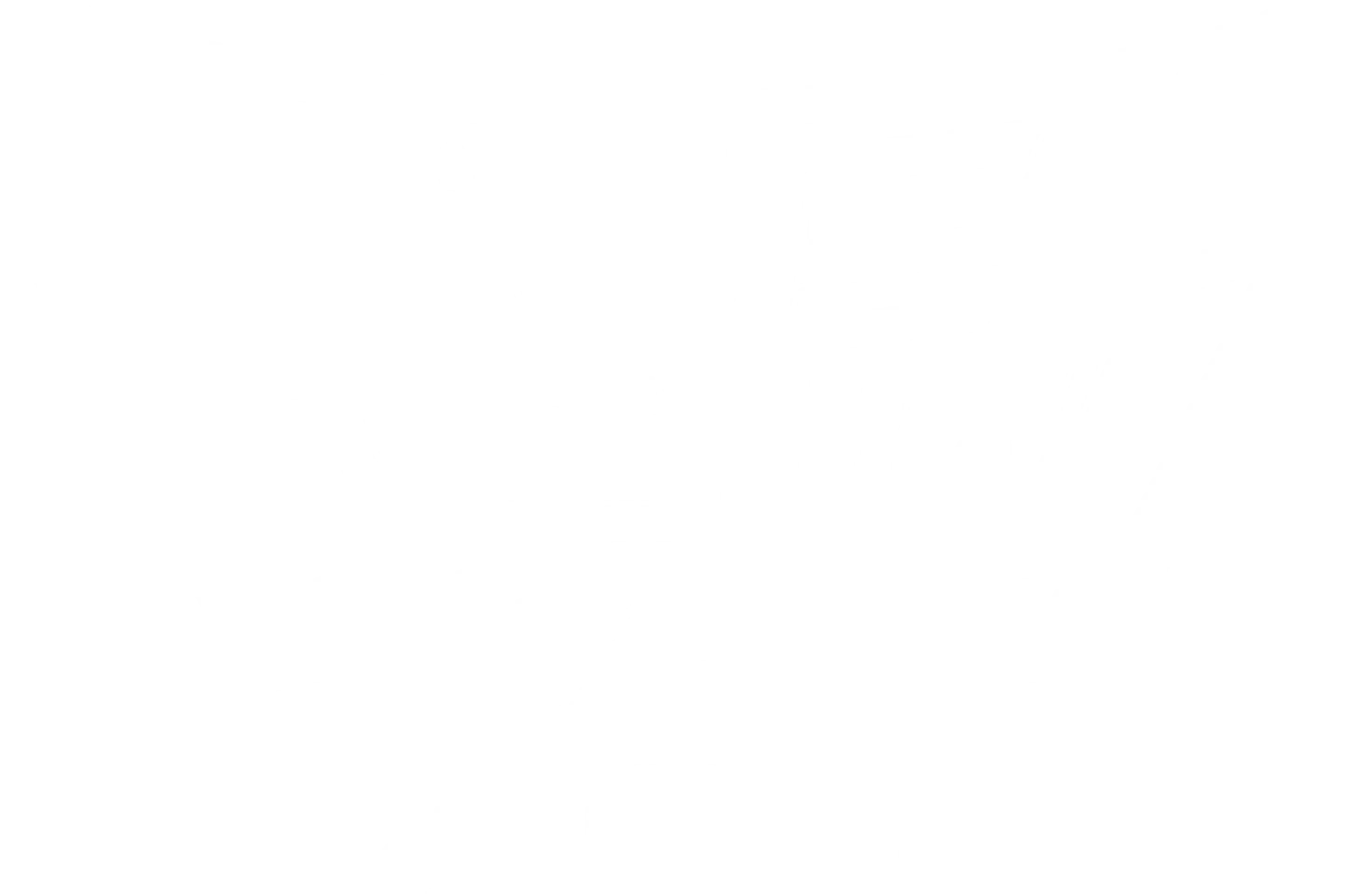 디지몬 어드벤처 02 (파워 디지몬)