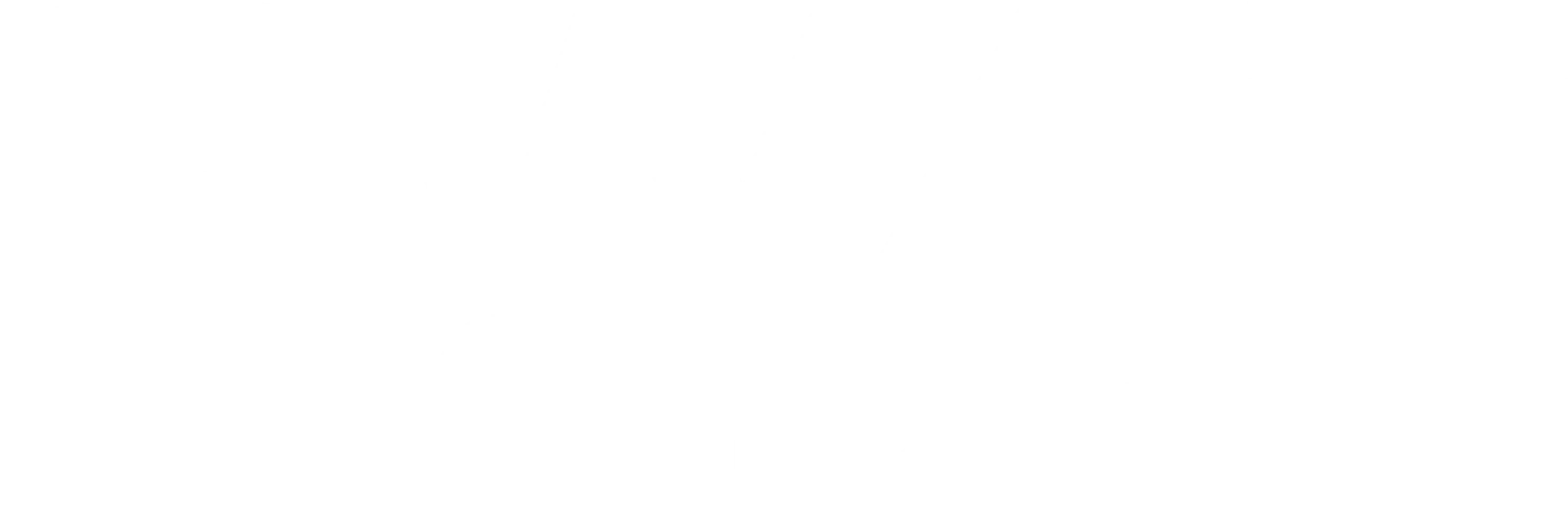 SWAT 여전사