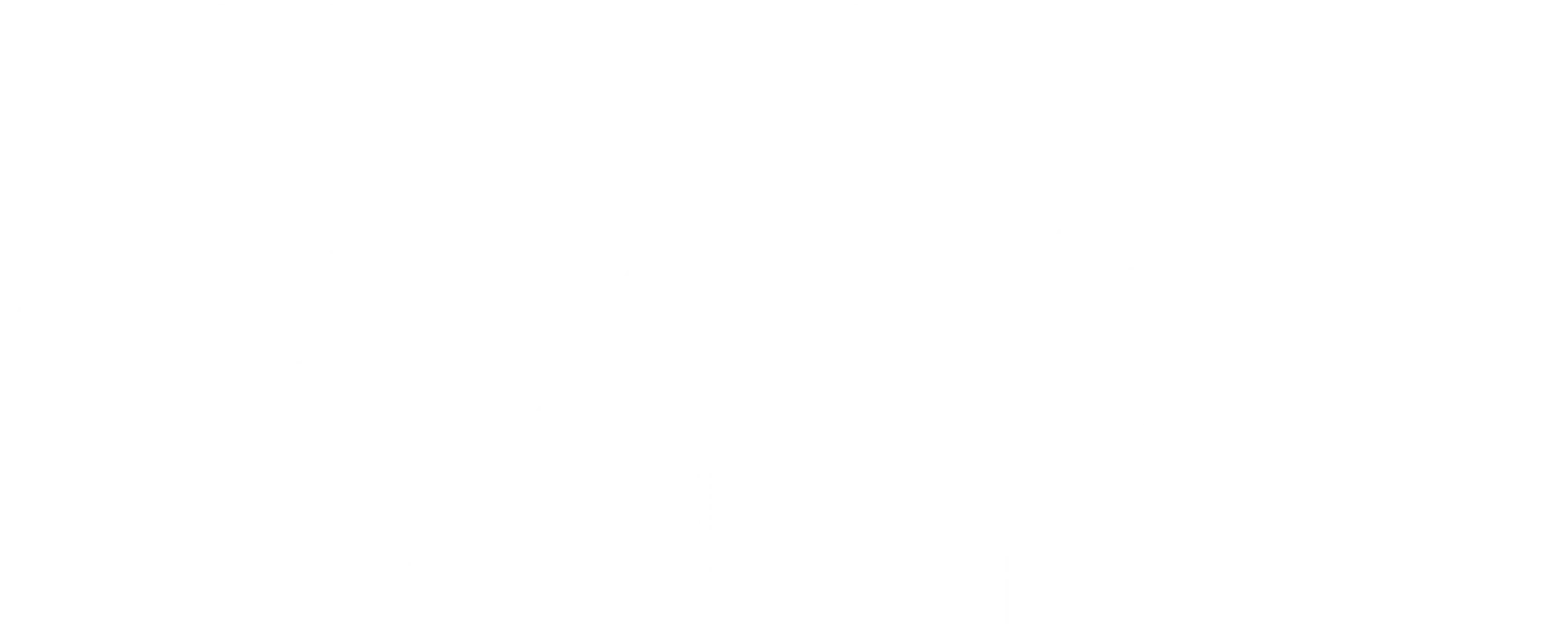양가장: 안문관 대혈투