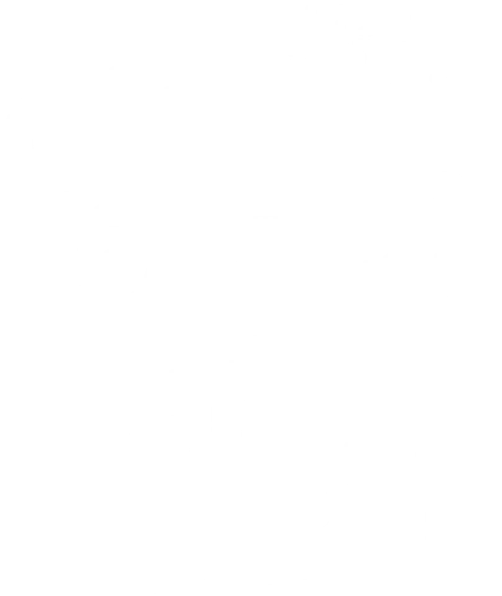 당근과 캐롯 시즌 13