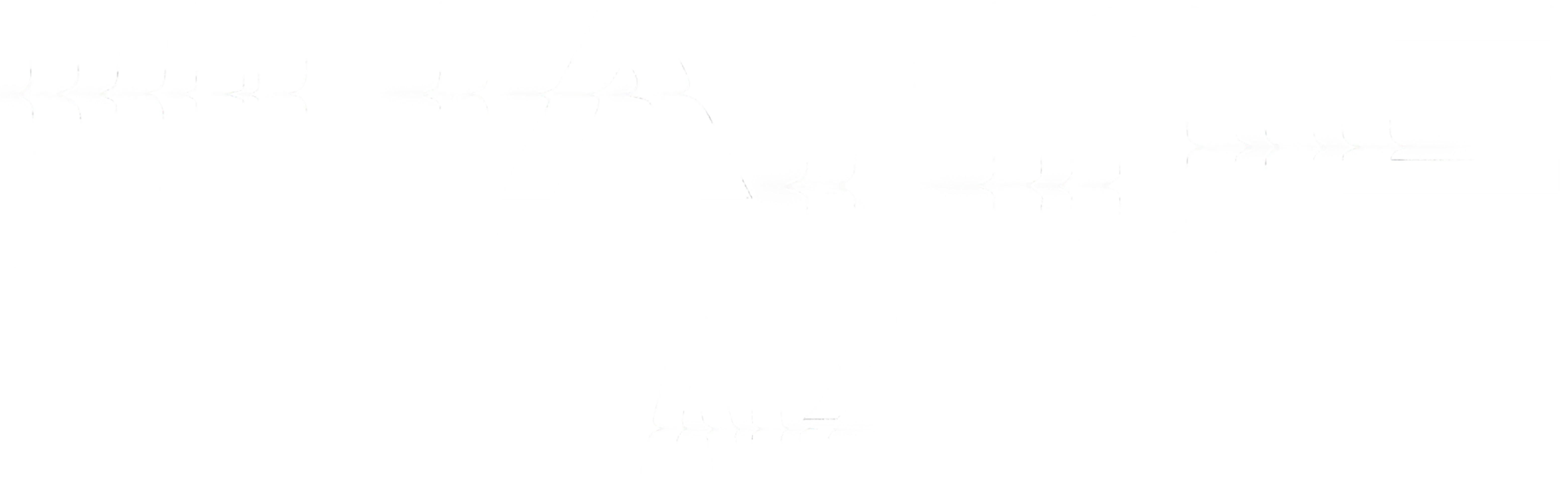 피닉스 라이트 사건