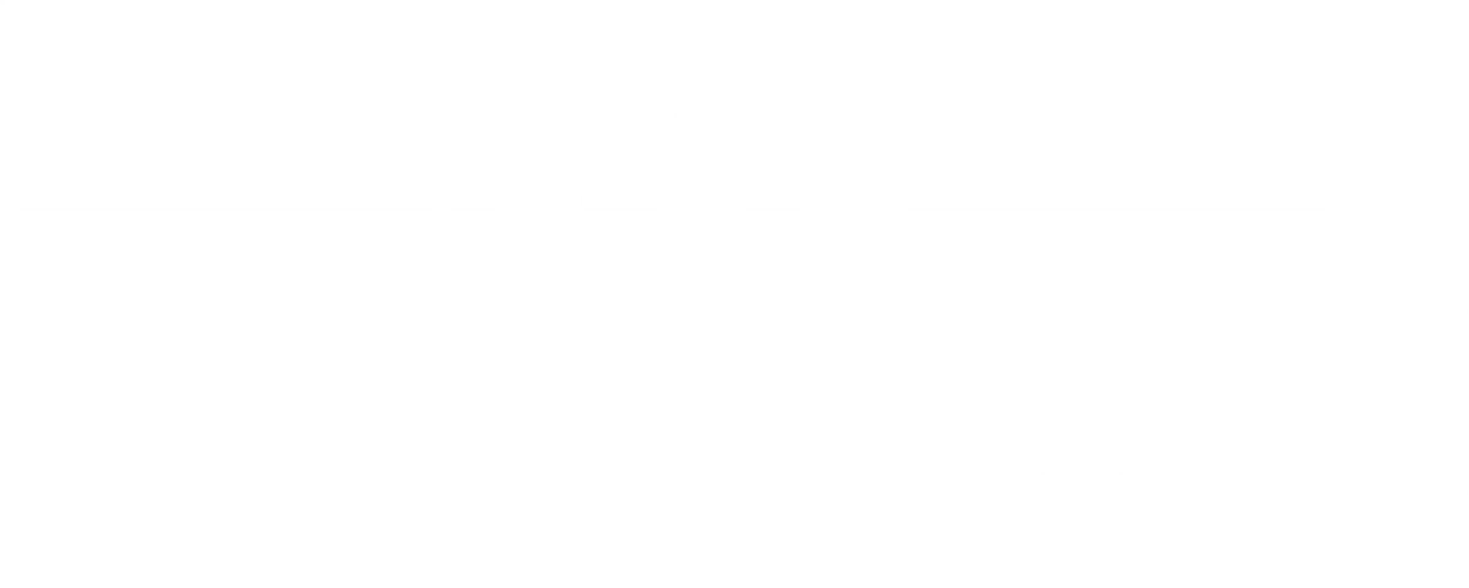 스피드 트레인
