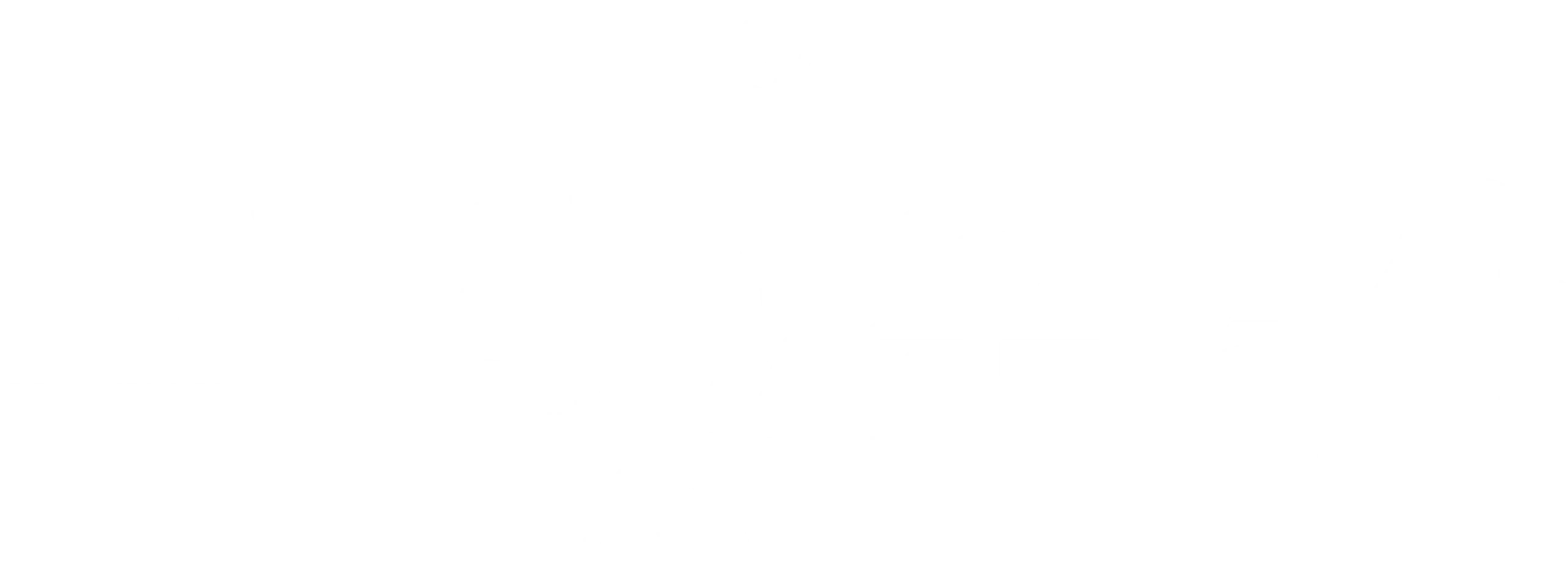 고독한 훈련사