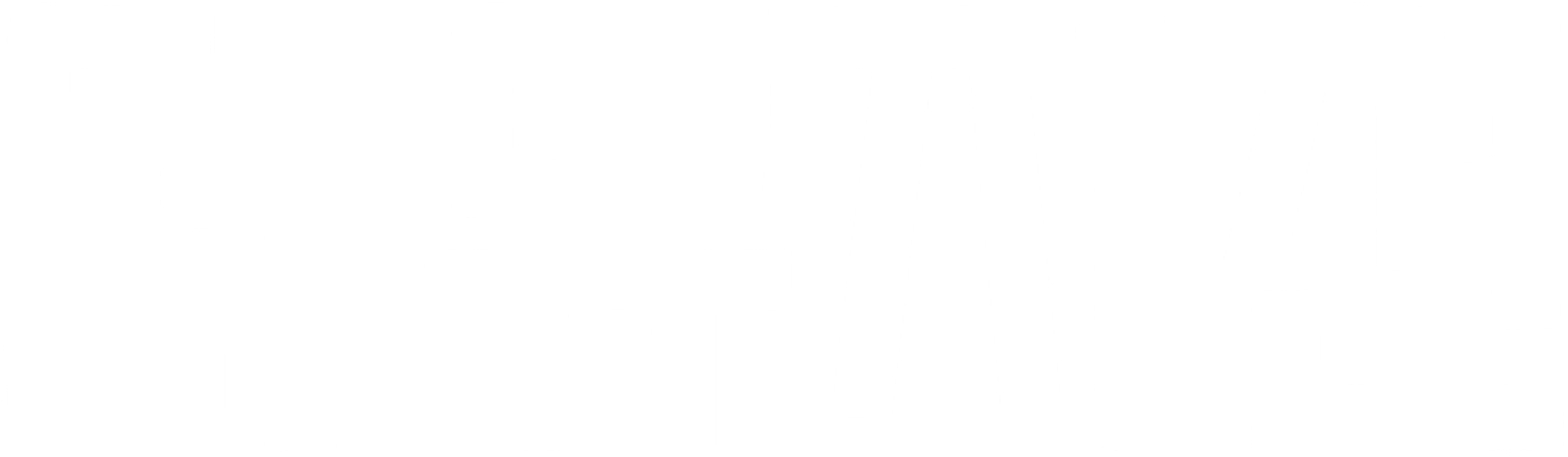 더 뮤지션