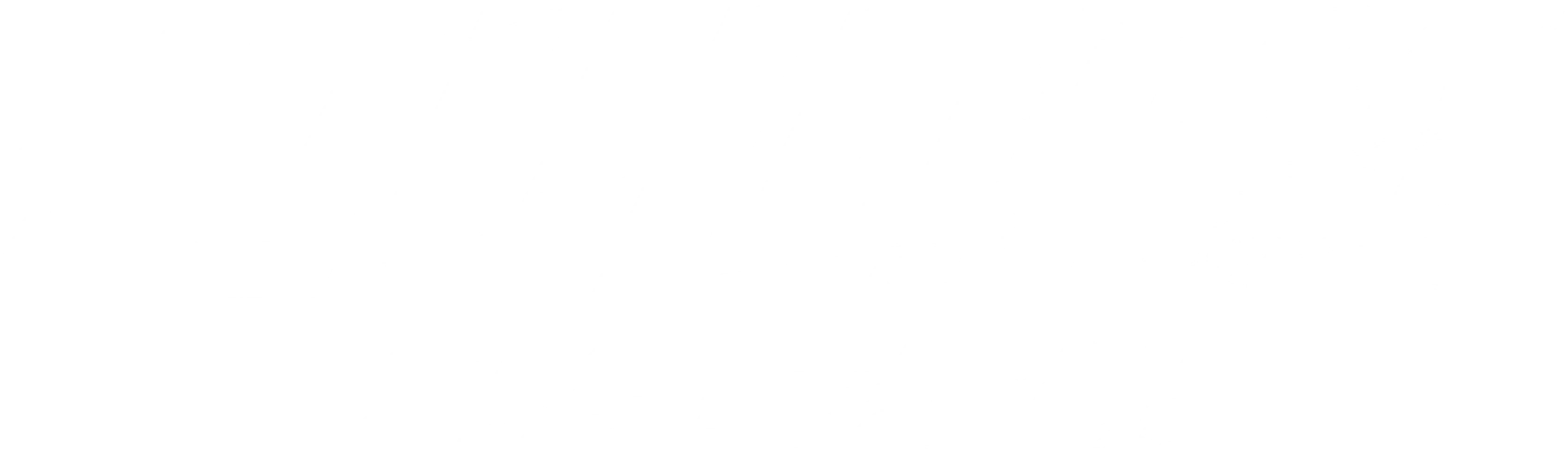 실버미션: 자살 특공대
