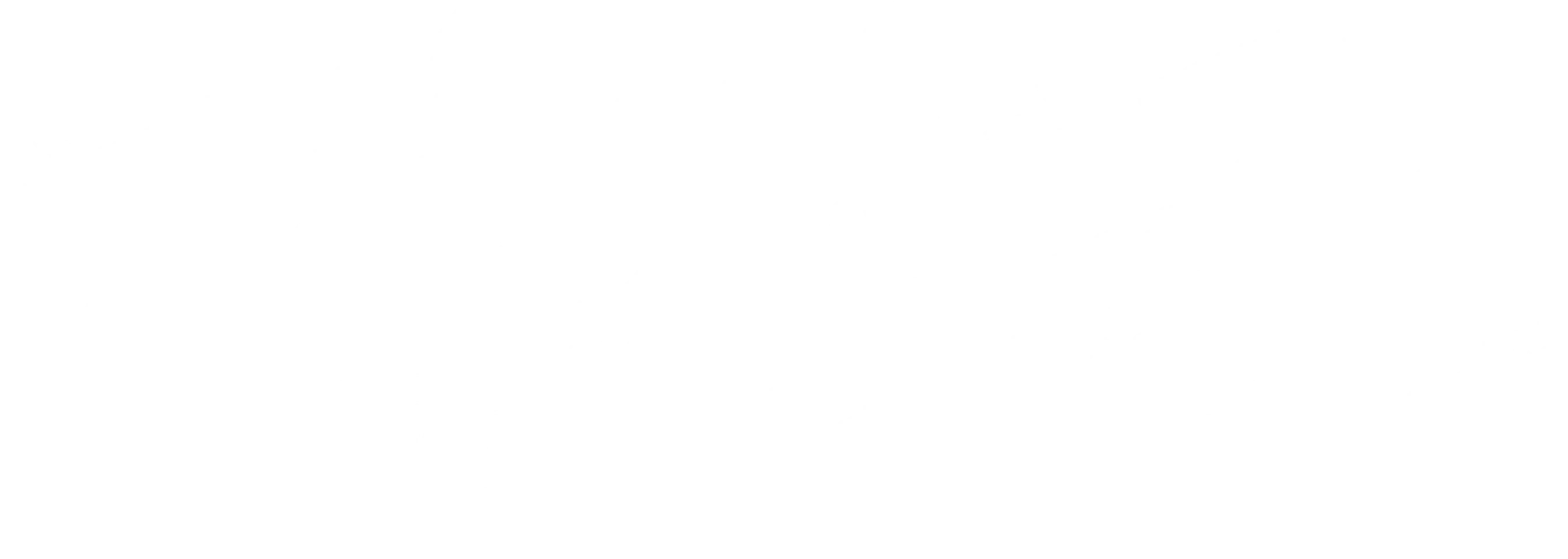 대장군