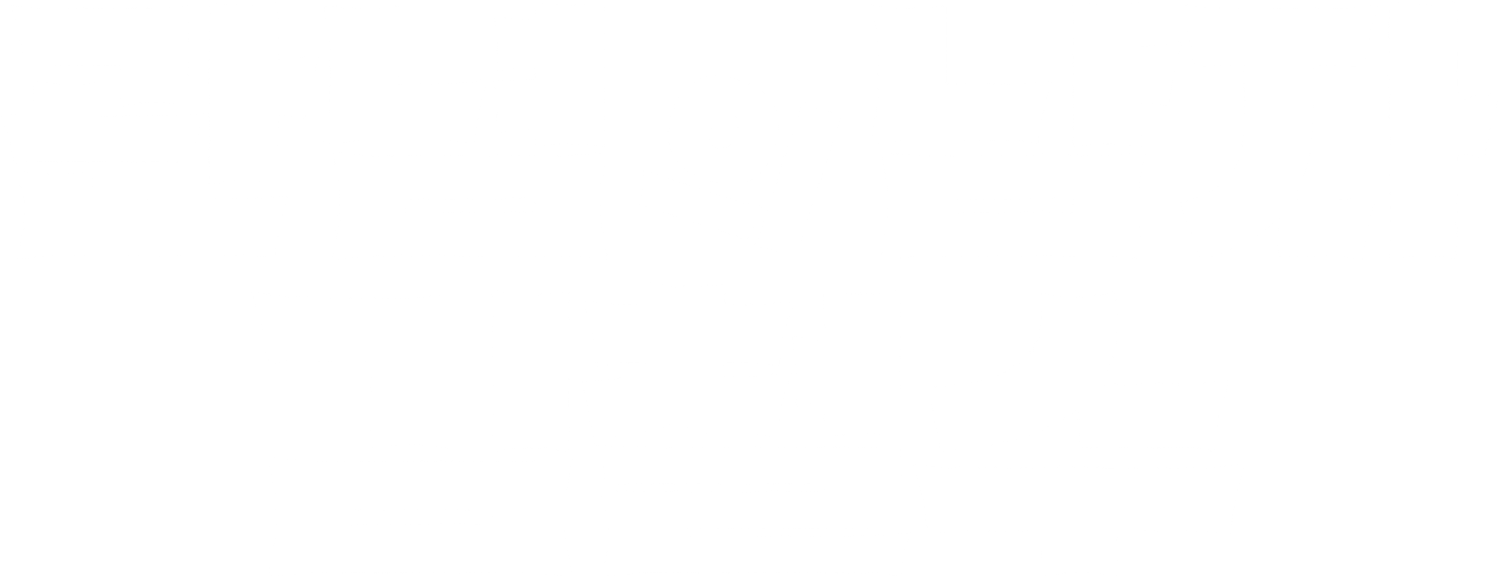 관념의 남자 김철수