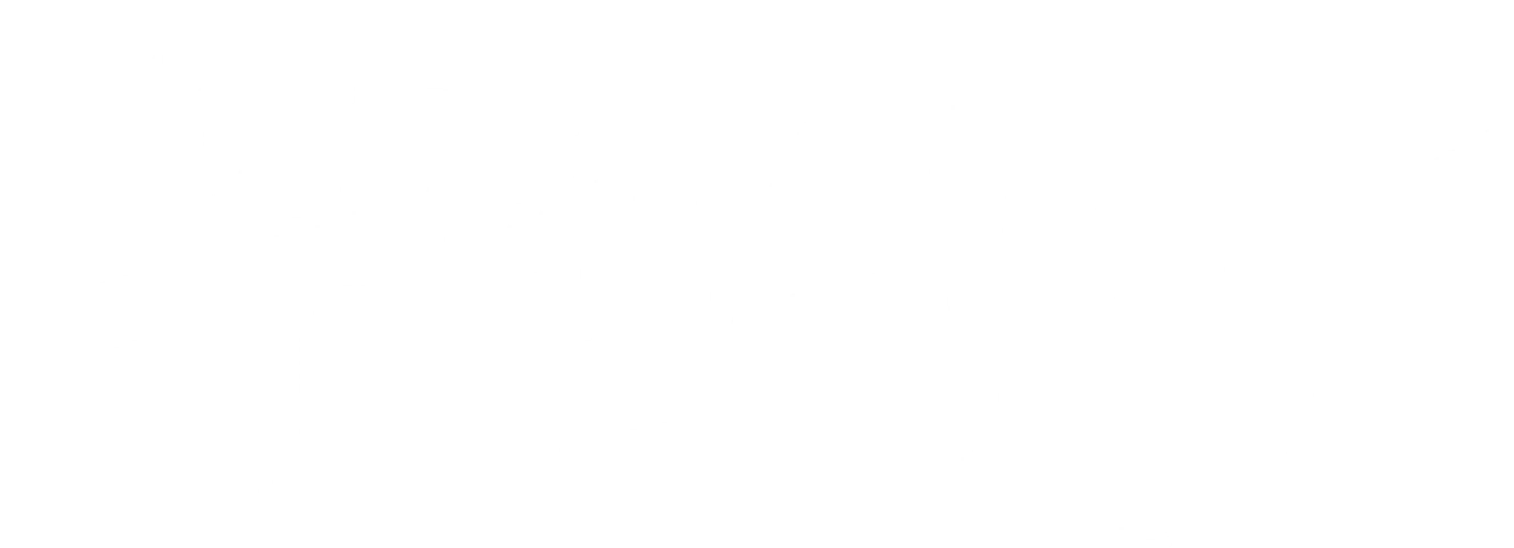무림외사