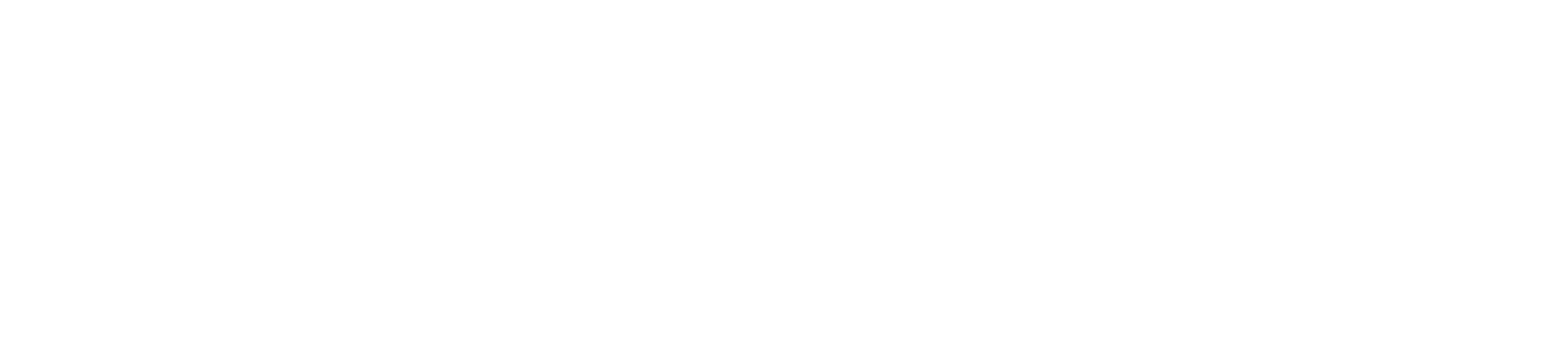 스물다섯 스물하나
