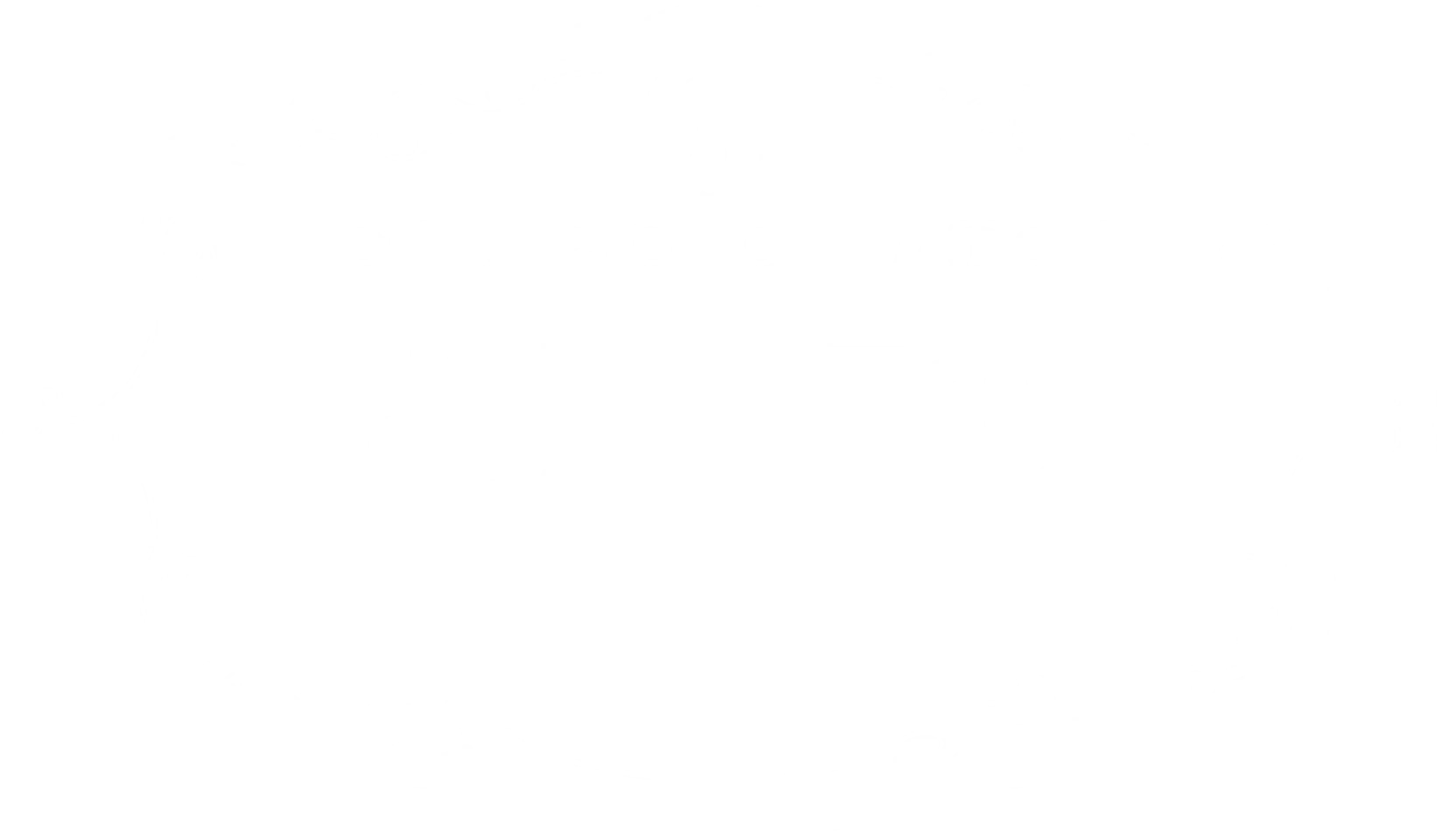 샹피뇽의 마녀