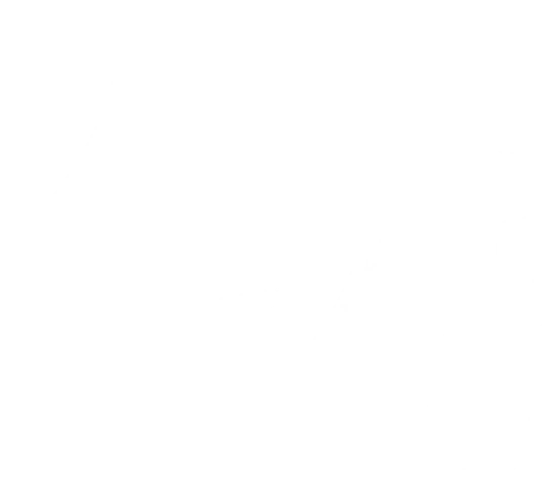 신생