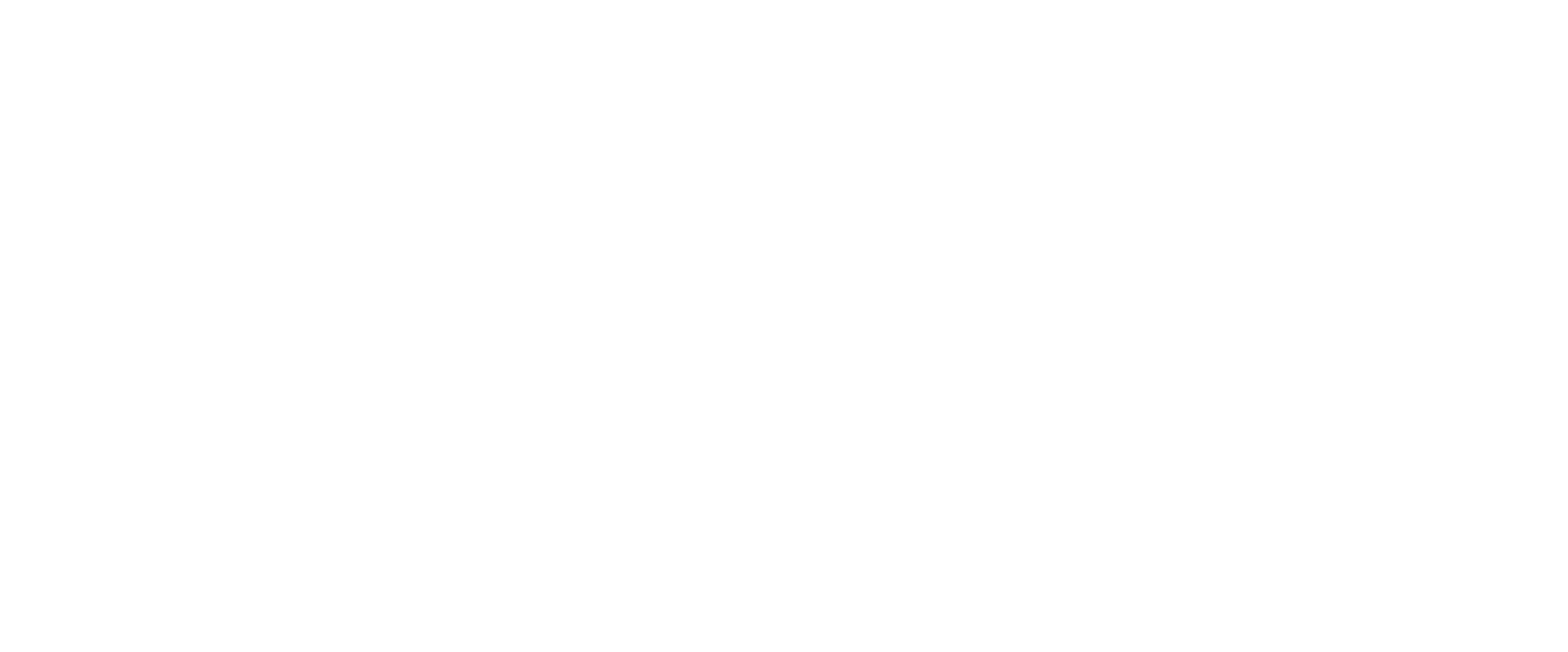 플로리다 프로젝트