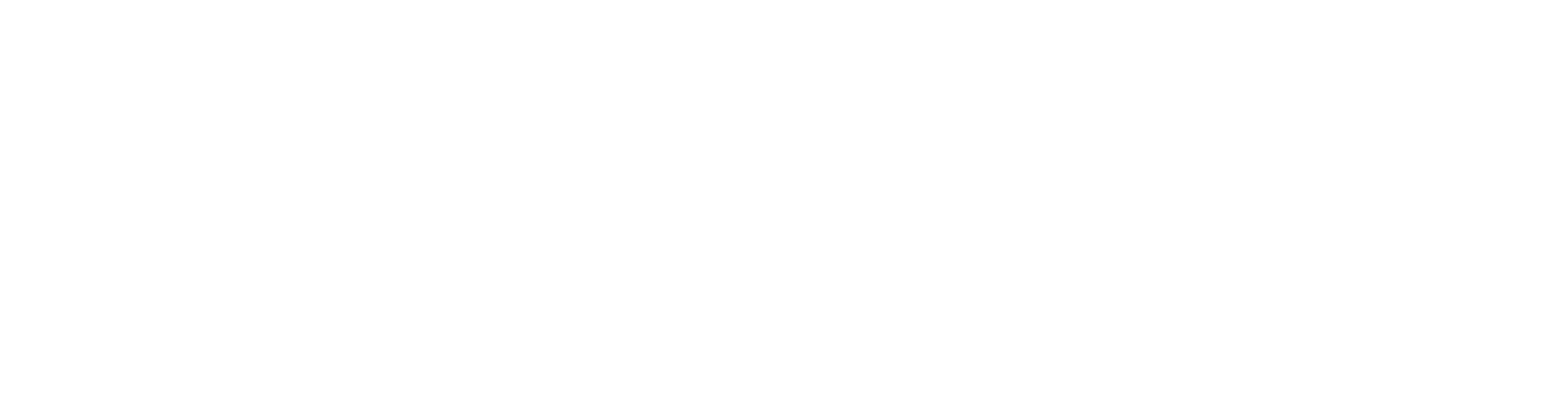 화이트 데스
