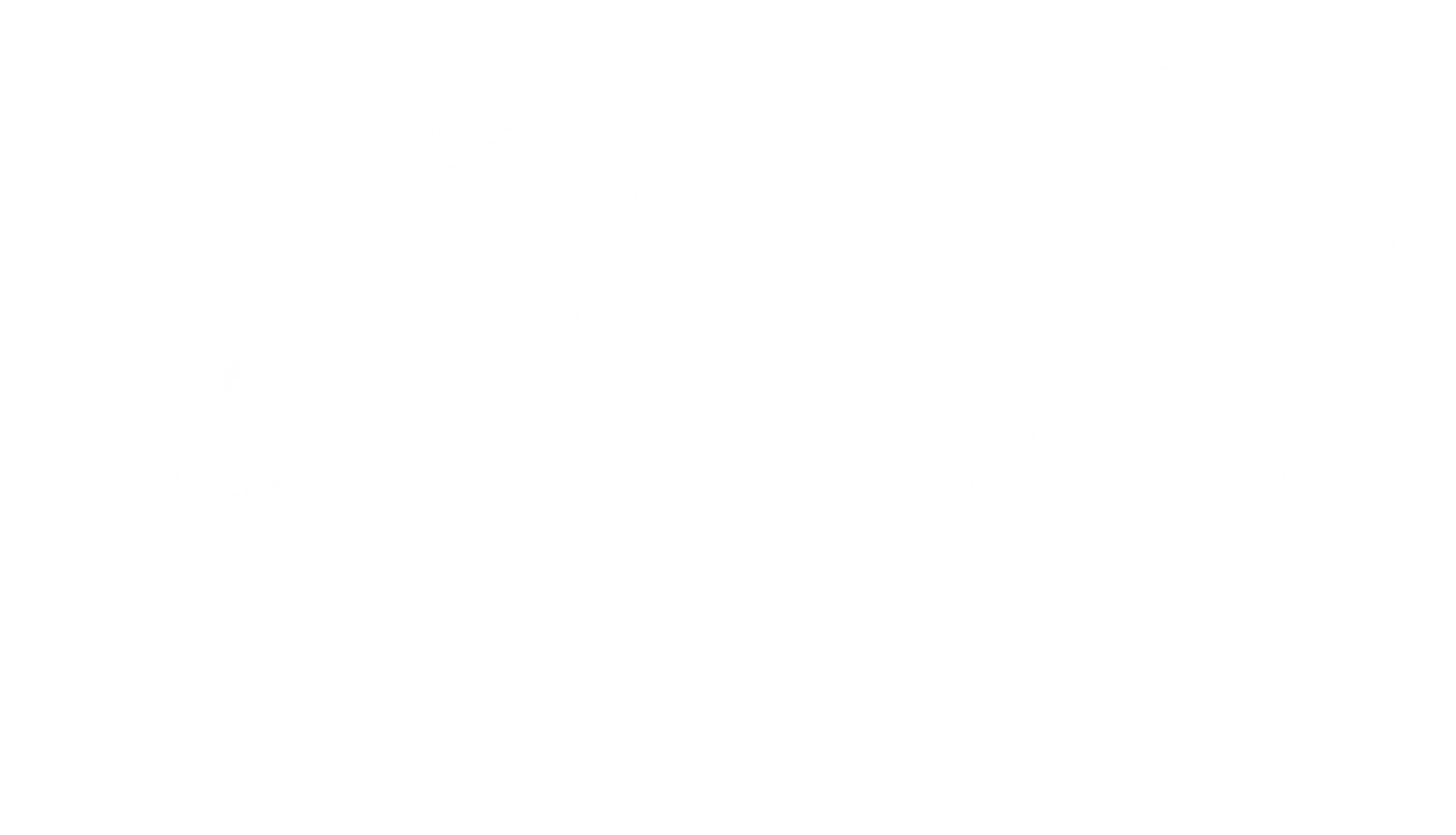 스트리트 파이터