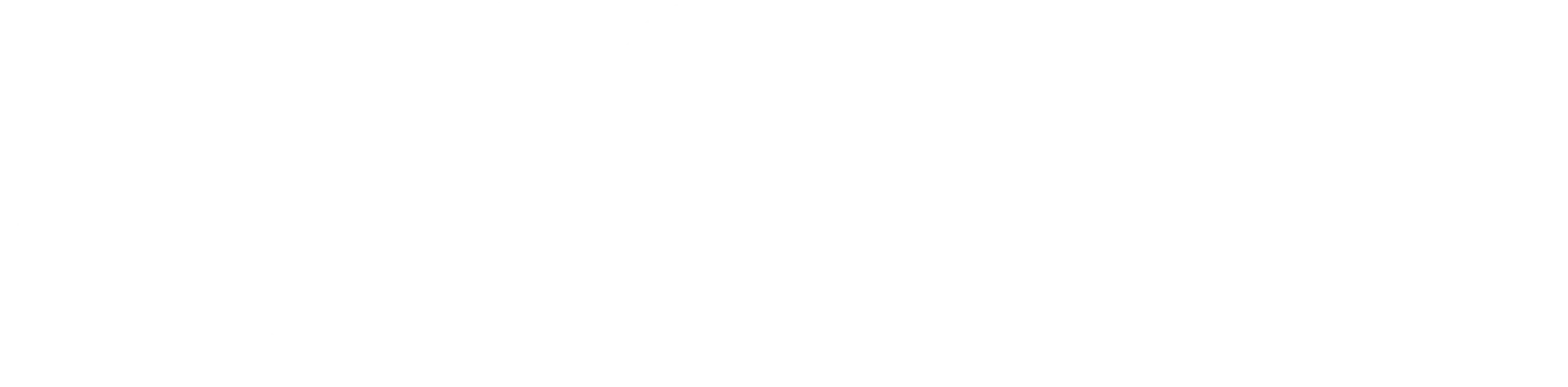 블라인드 선