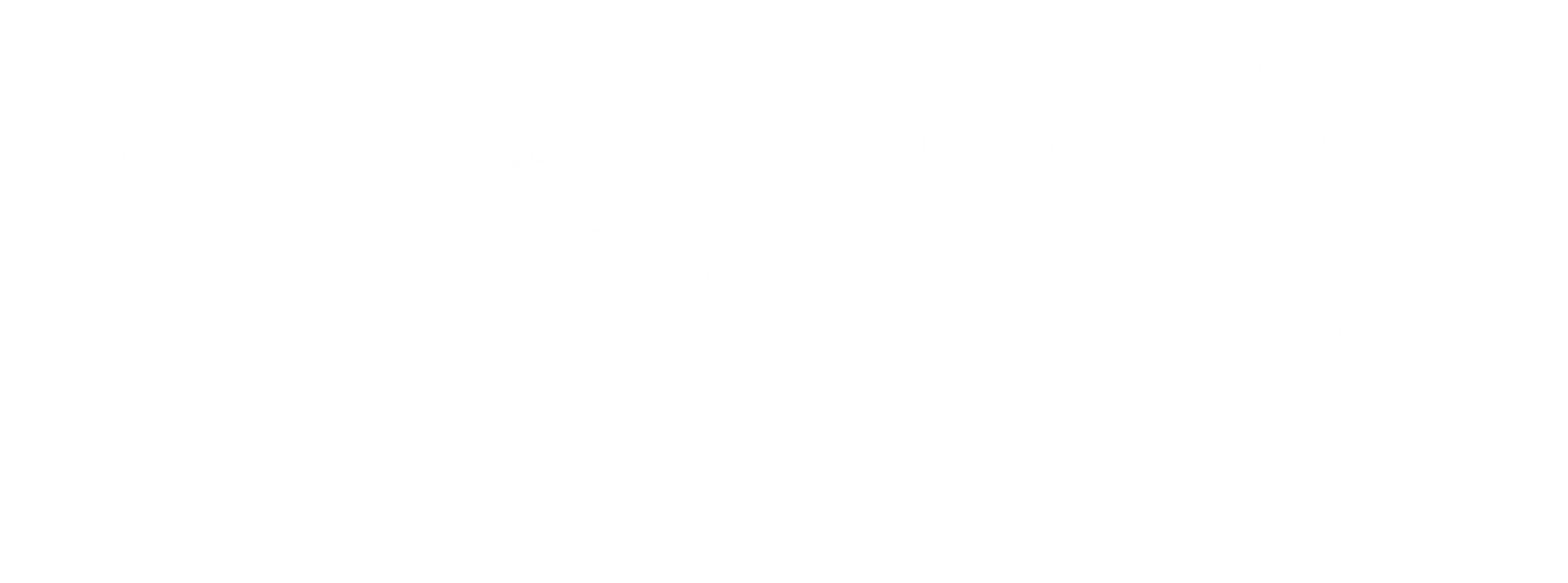 사마의 : 미완의 책사