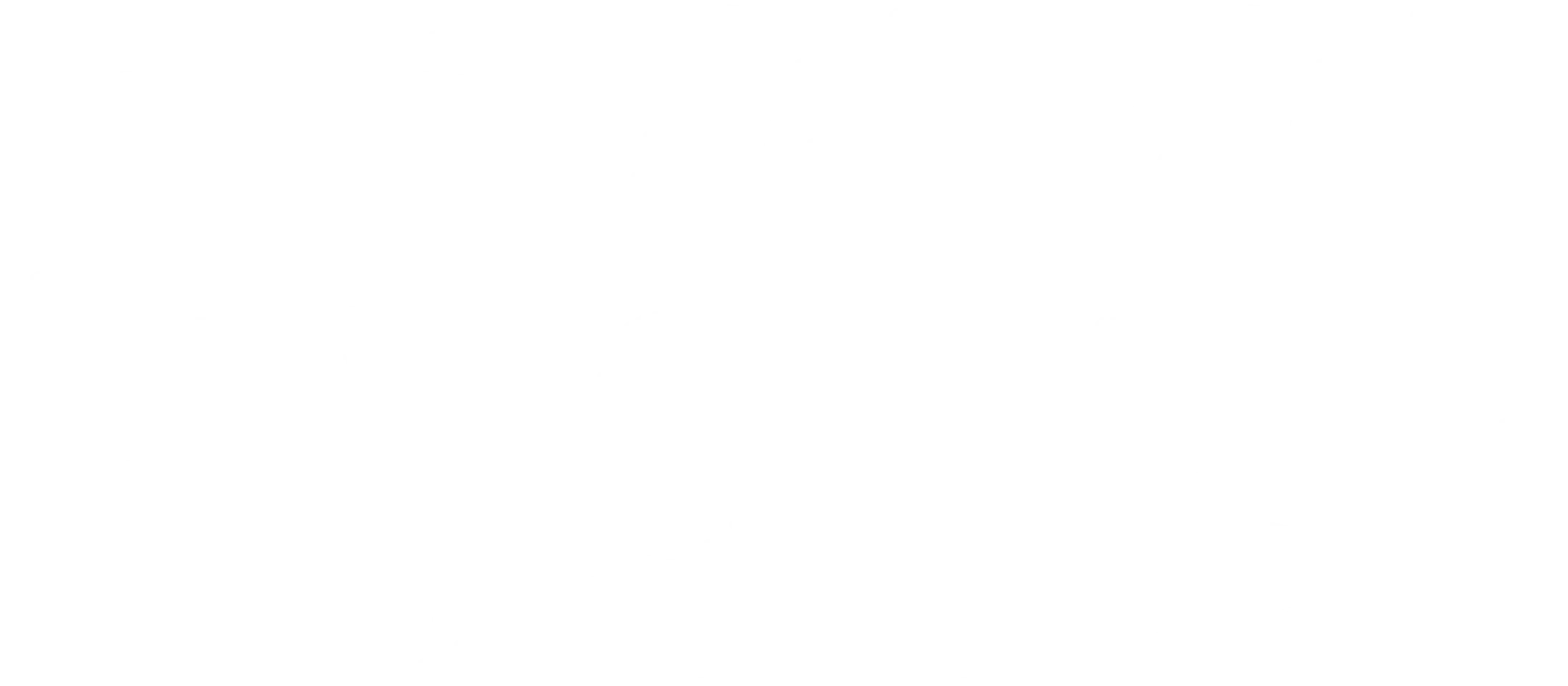 포청천: 도룡회의 비밀