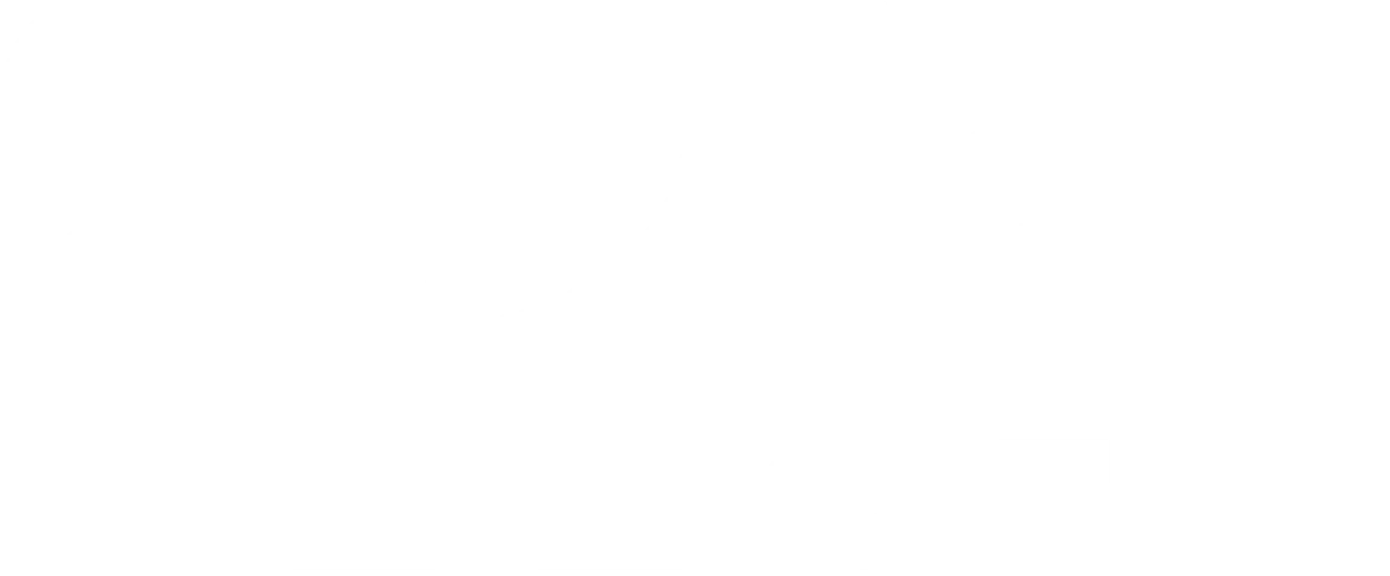 양가장: 철혈장군