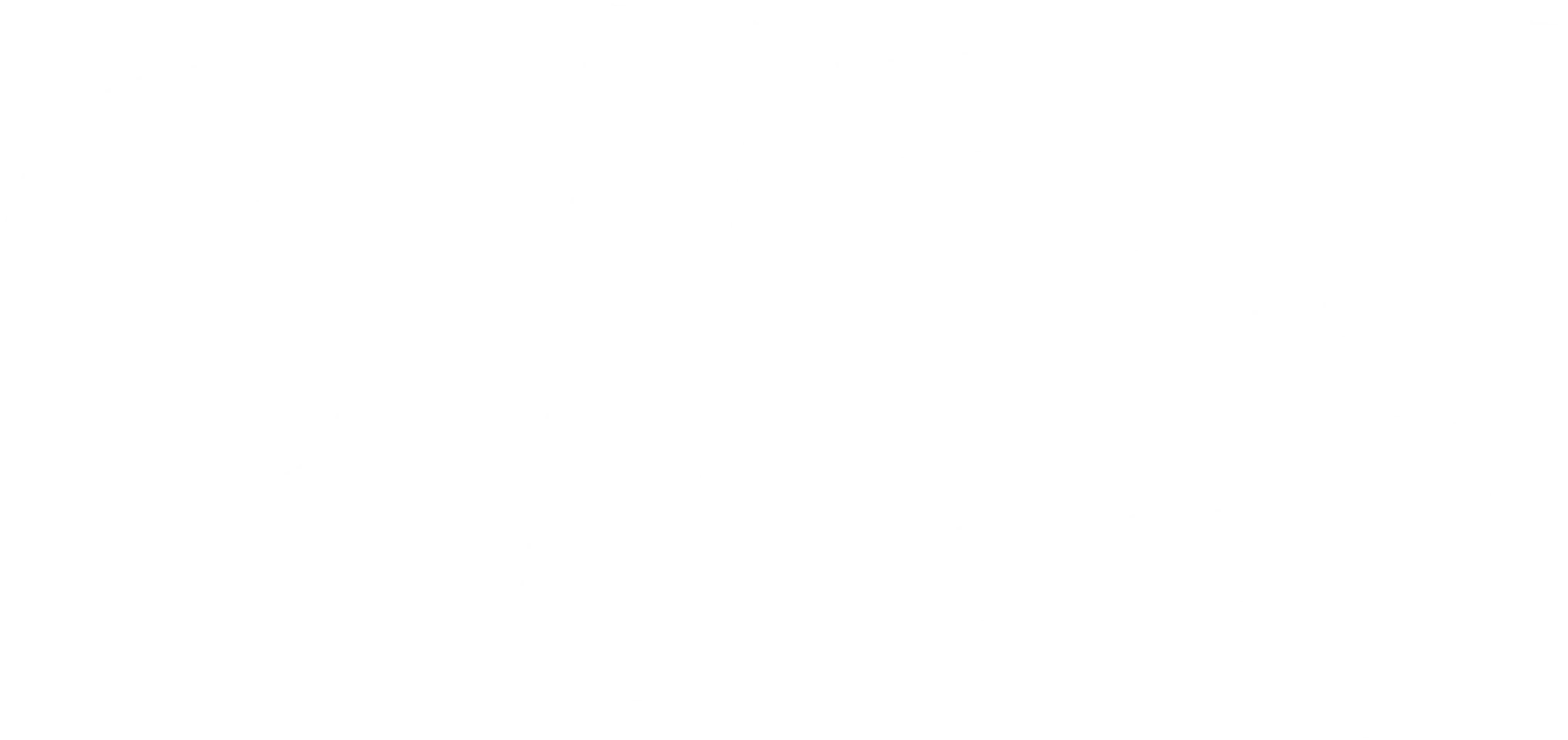 이력