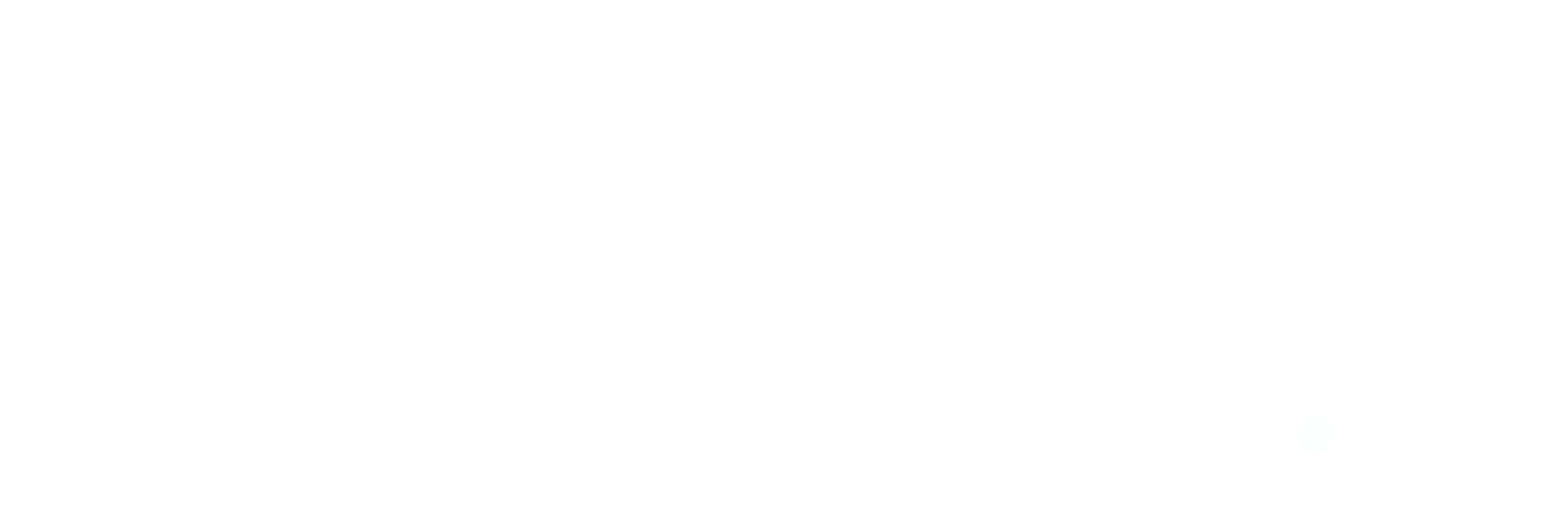 히스토리야 더 라이벌