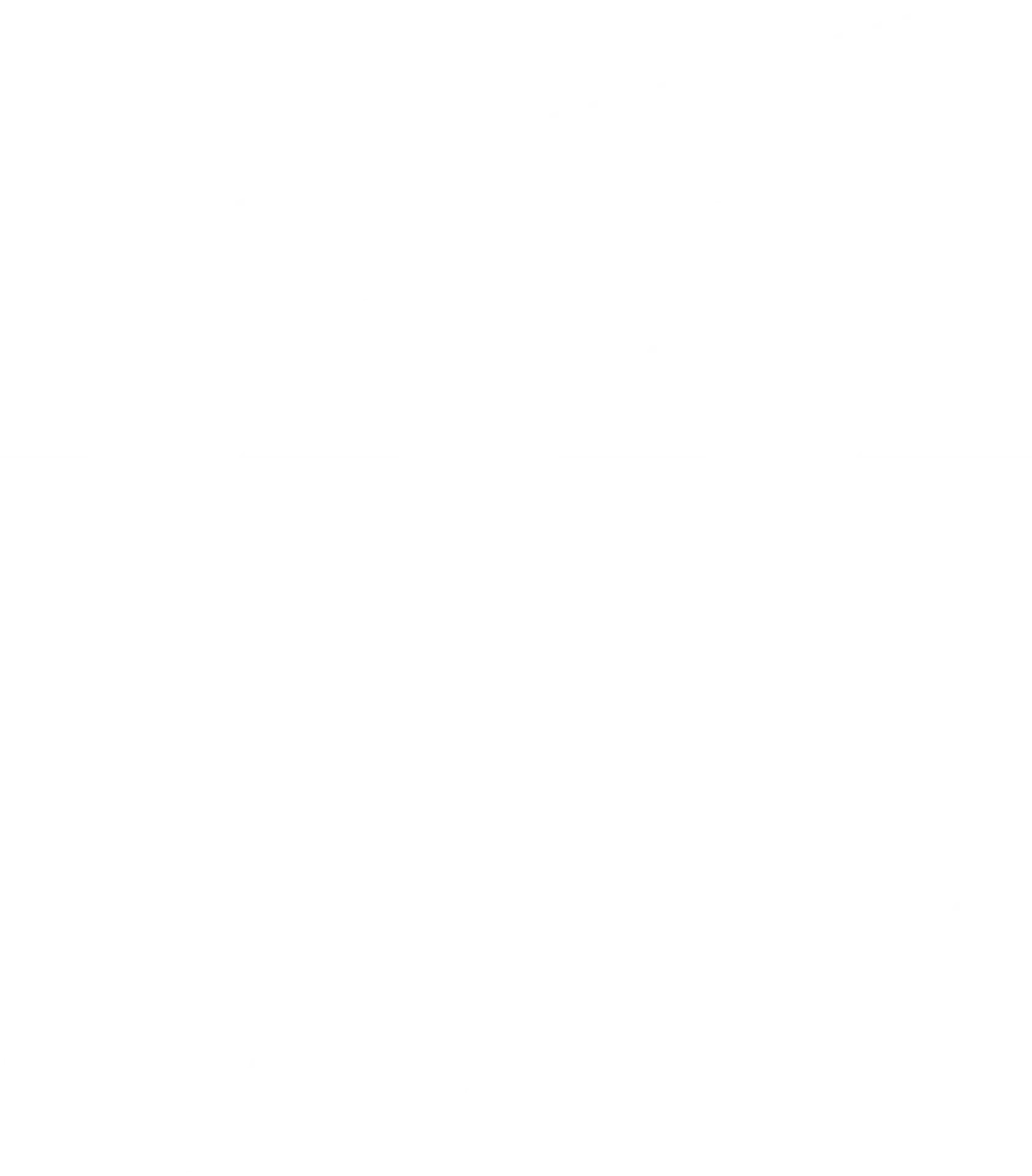디렉터스 아레나