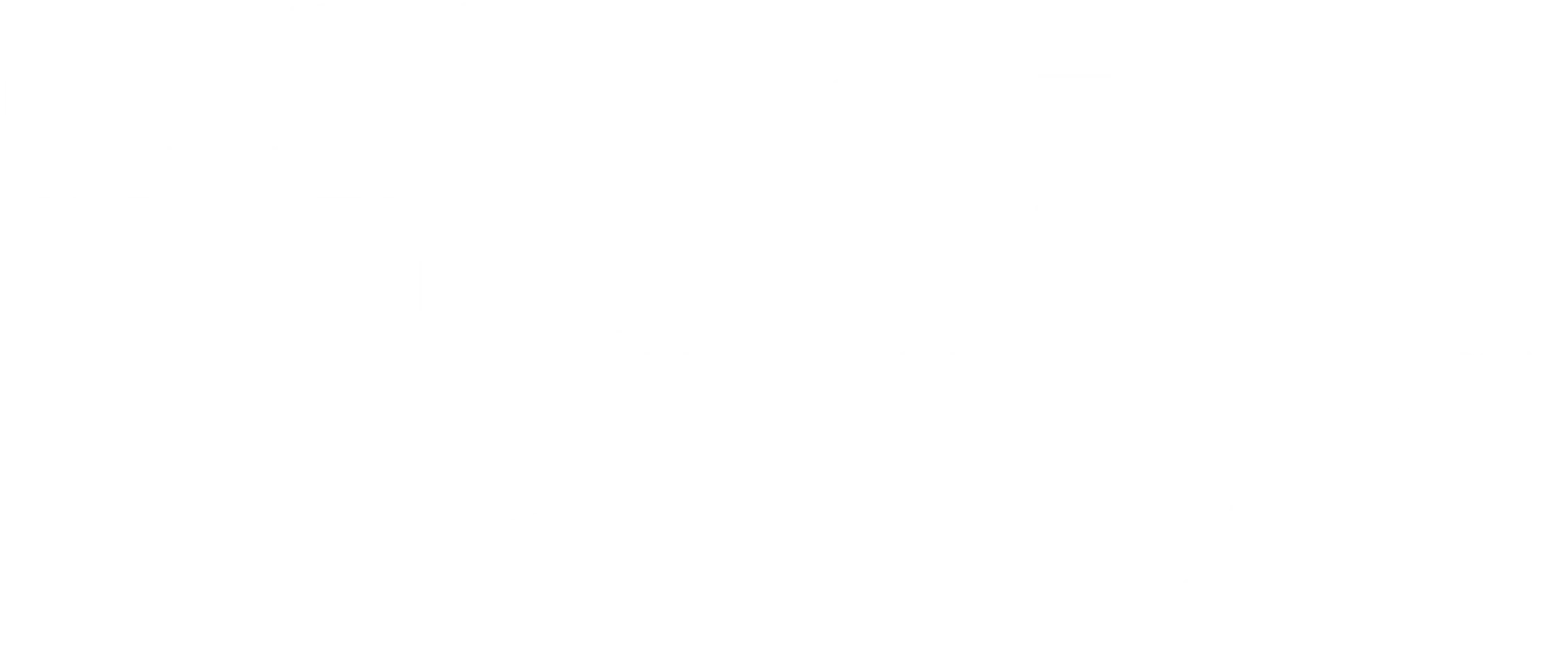 분노의 추격자