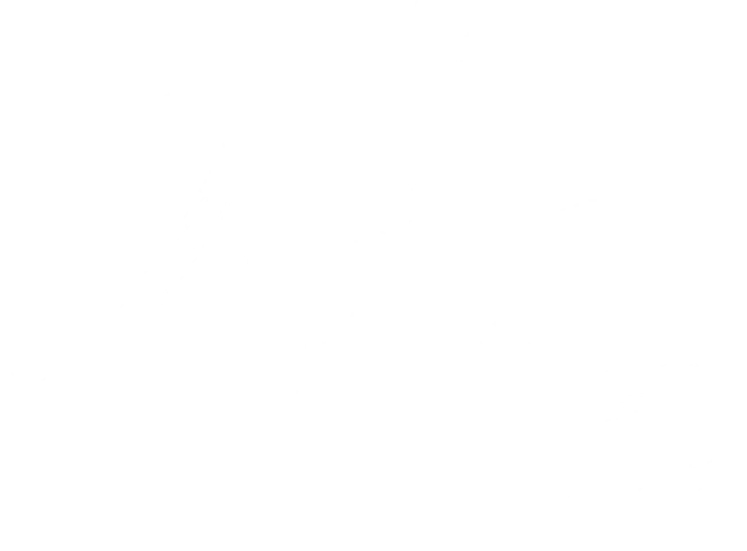 검존