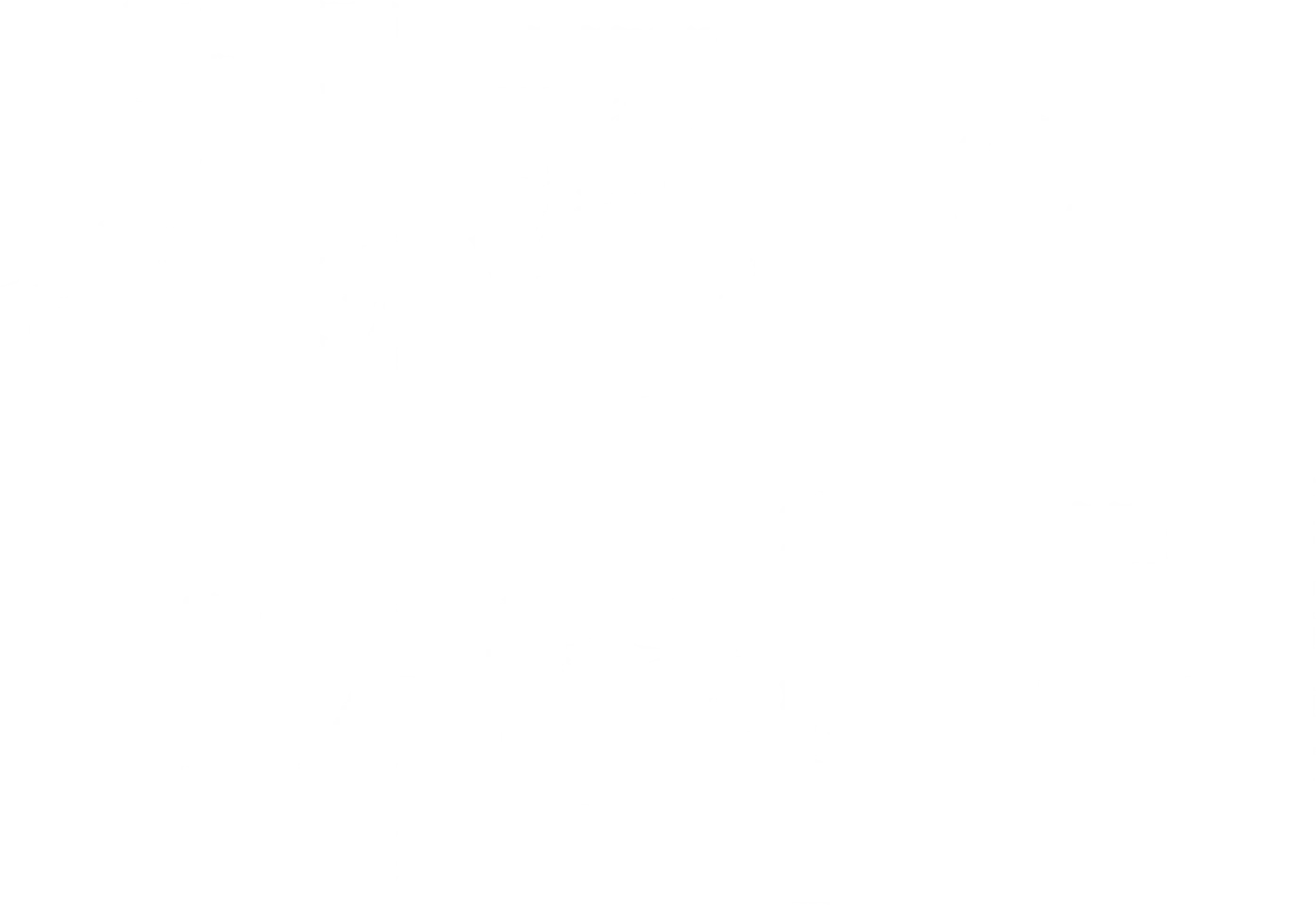 치킨 파이터
