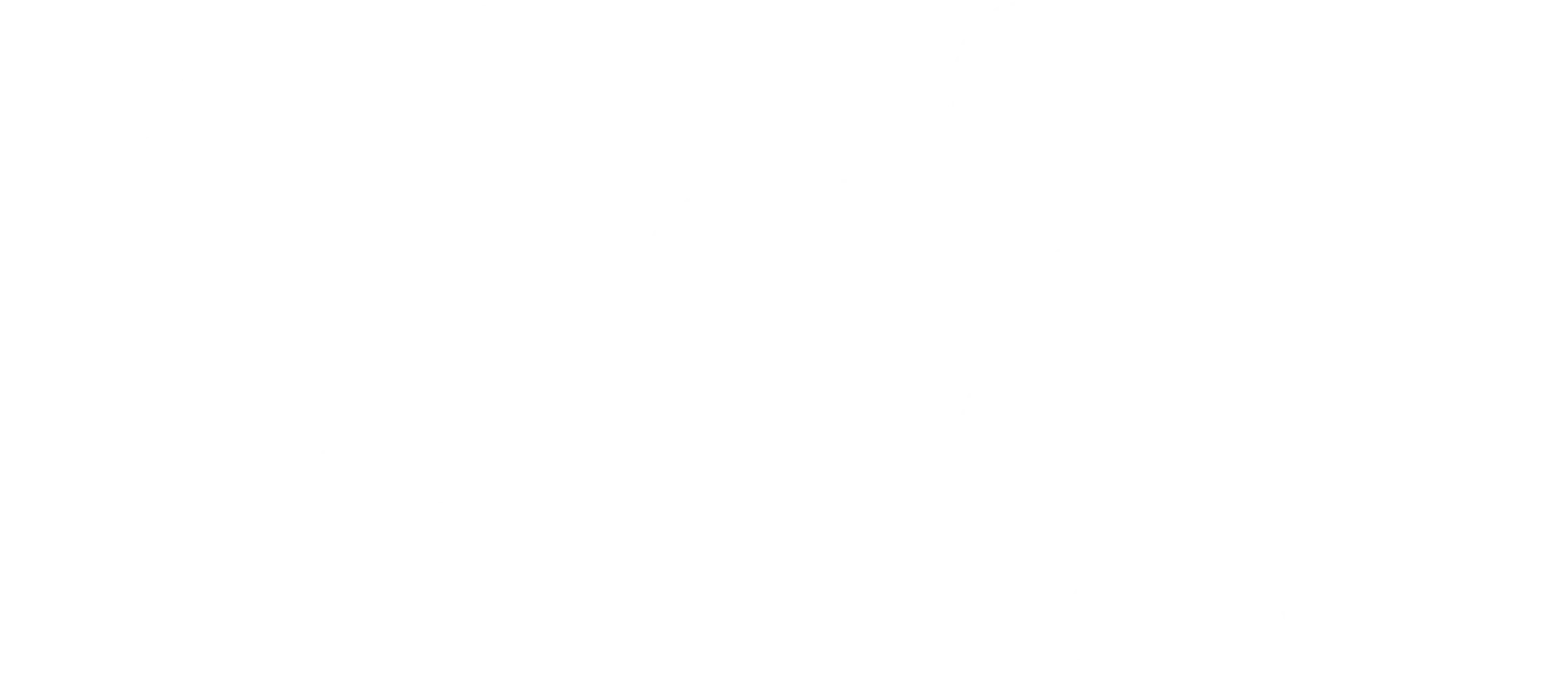 말괄량이 길들이기