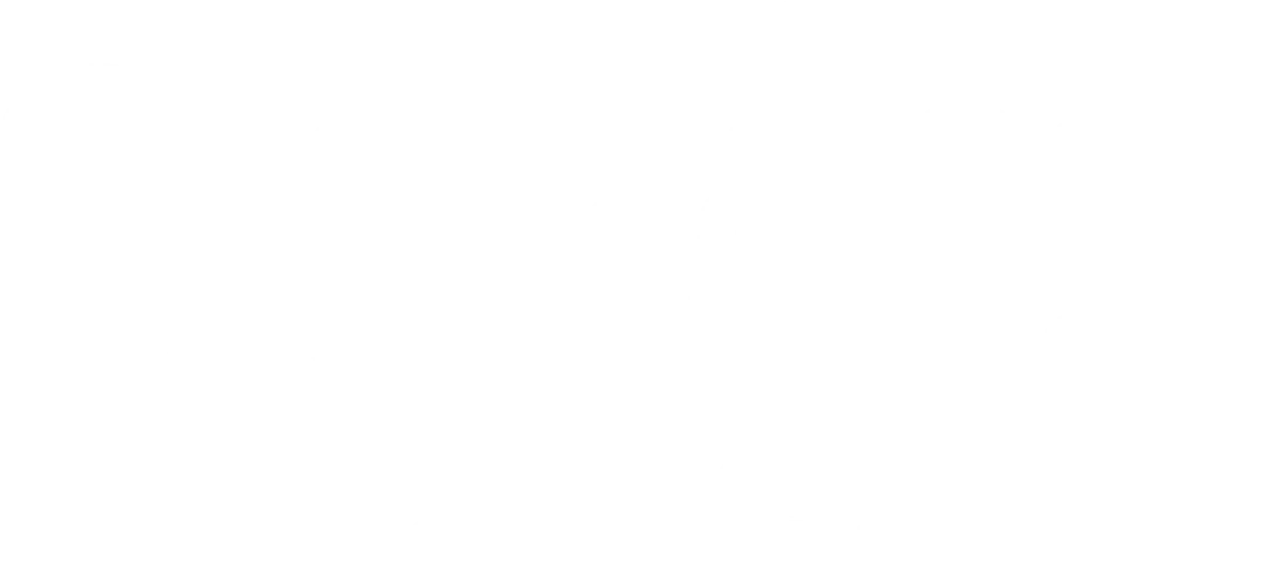 패트와 매트: 수리 대작전