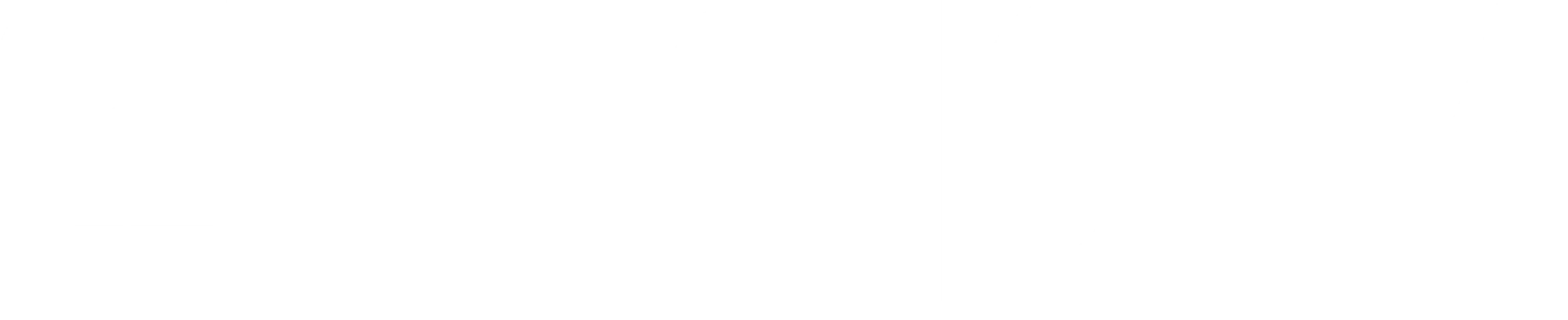 엠파이어 V