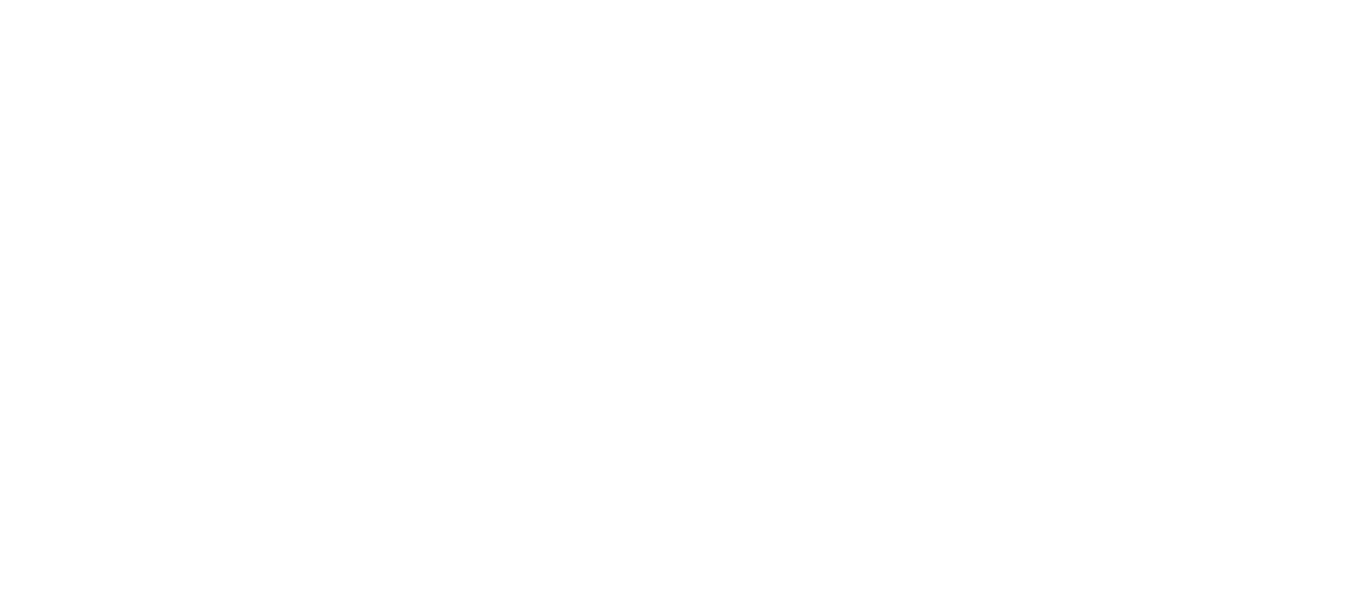 전설의 숲: 잃어버린 기억을 찾아서