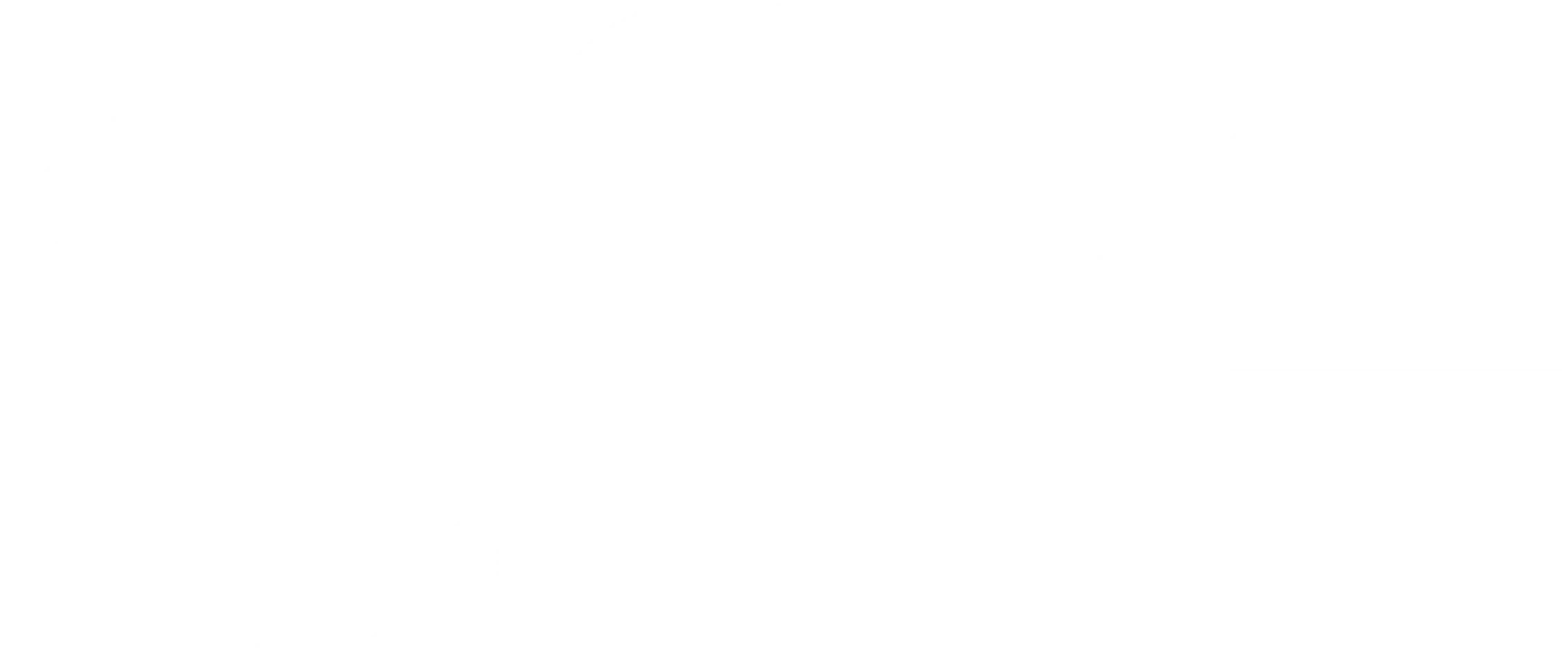 적인걸: 피안화의 비밀
