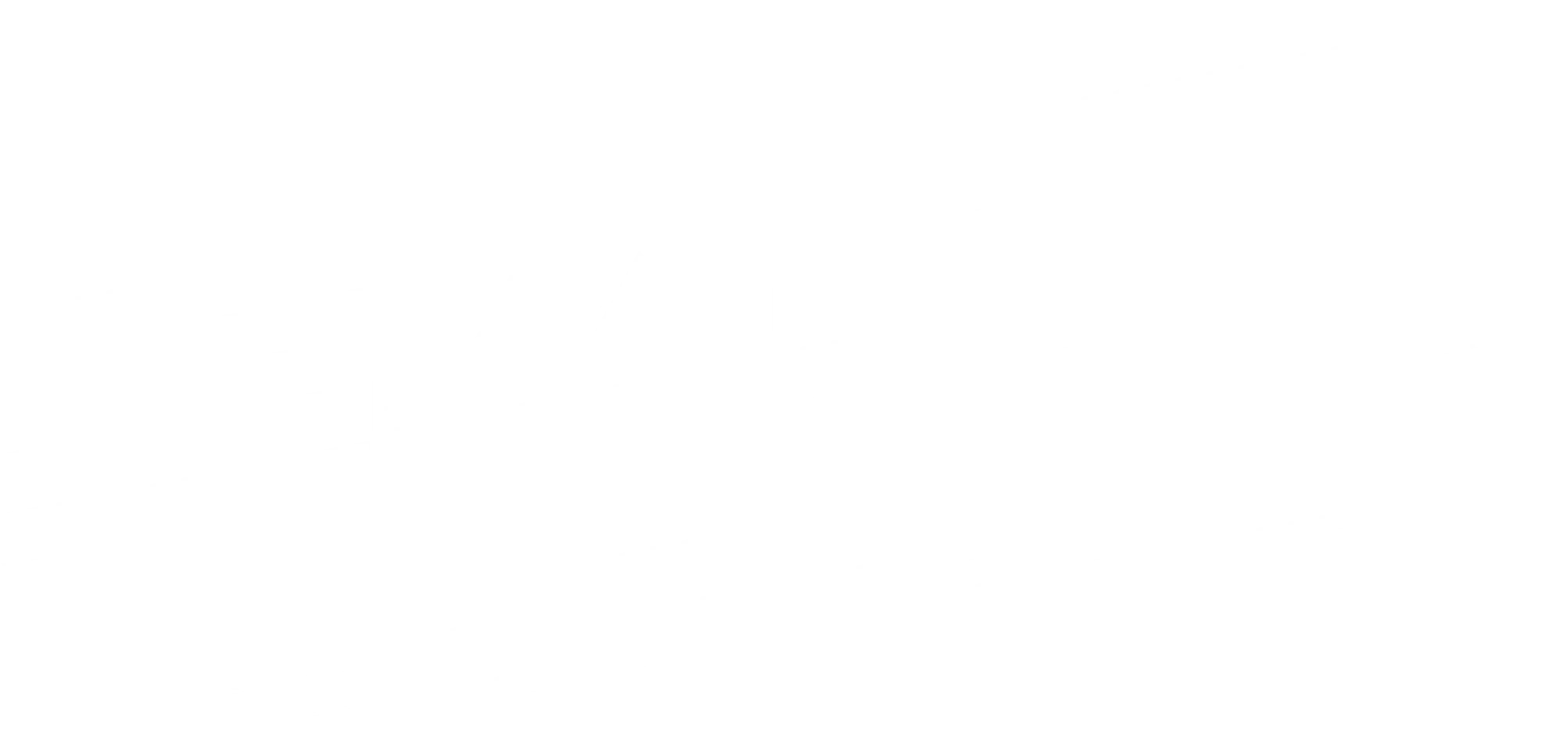 특수부대: 엘리트 스쿼드