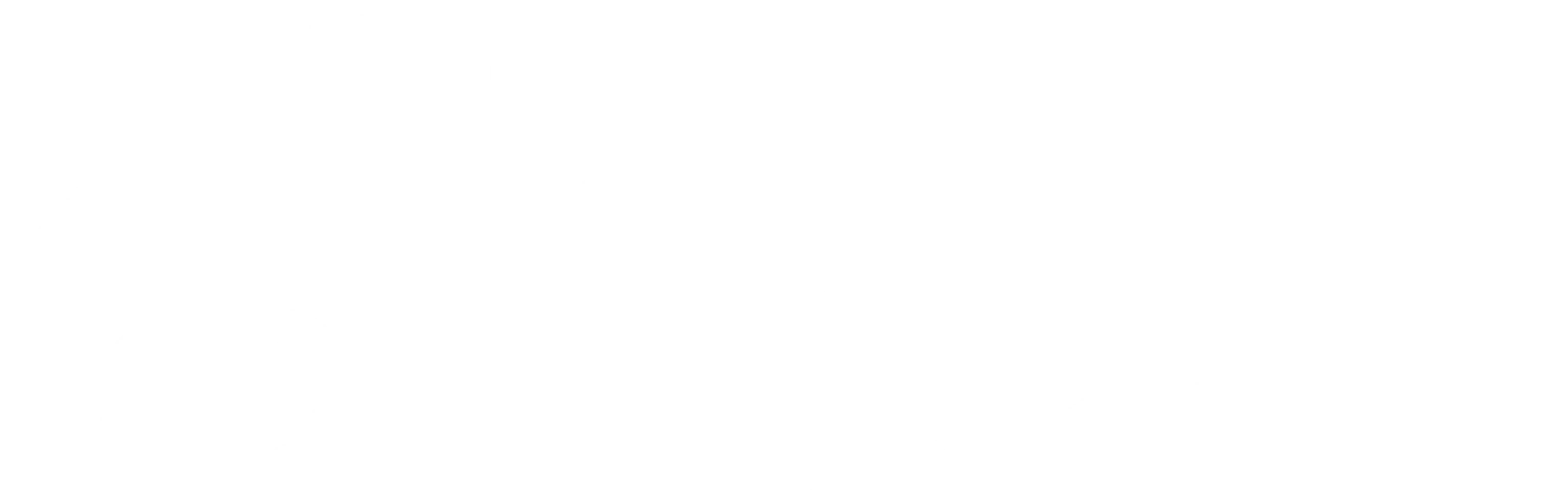 장착: 복수의 신부