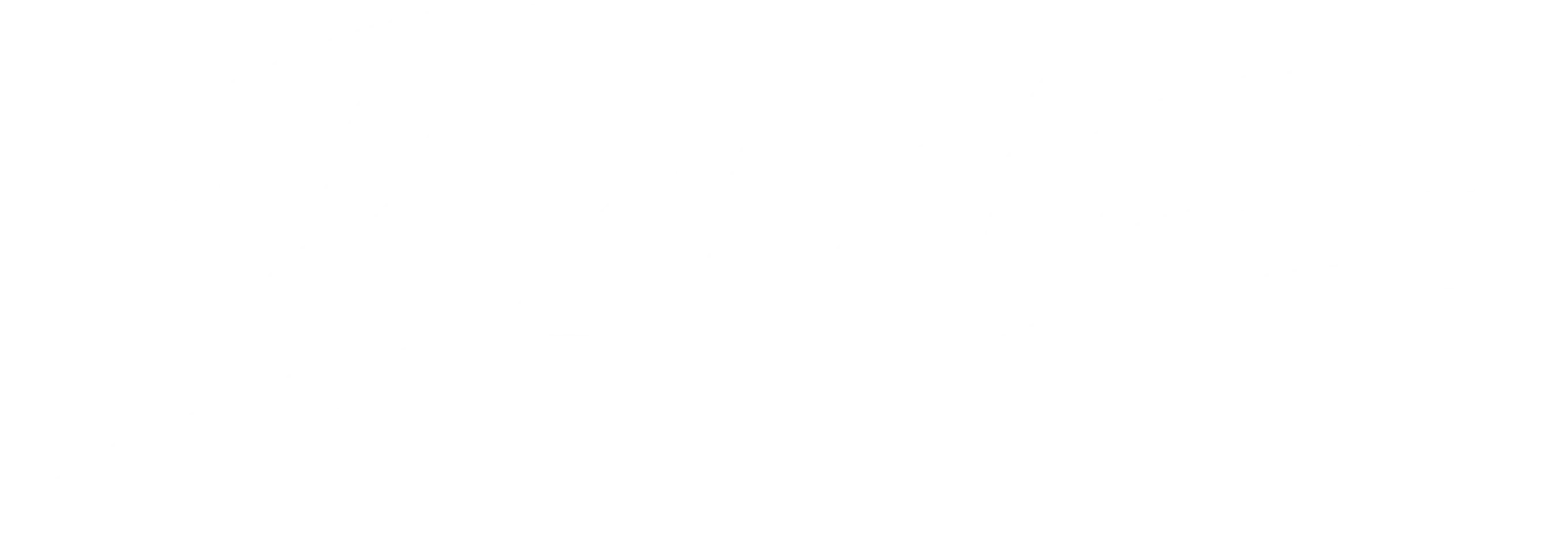 포사이트 시즌 1