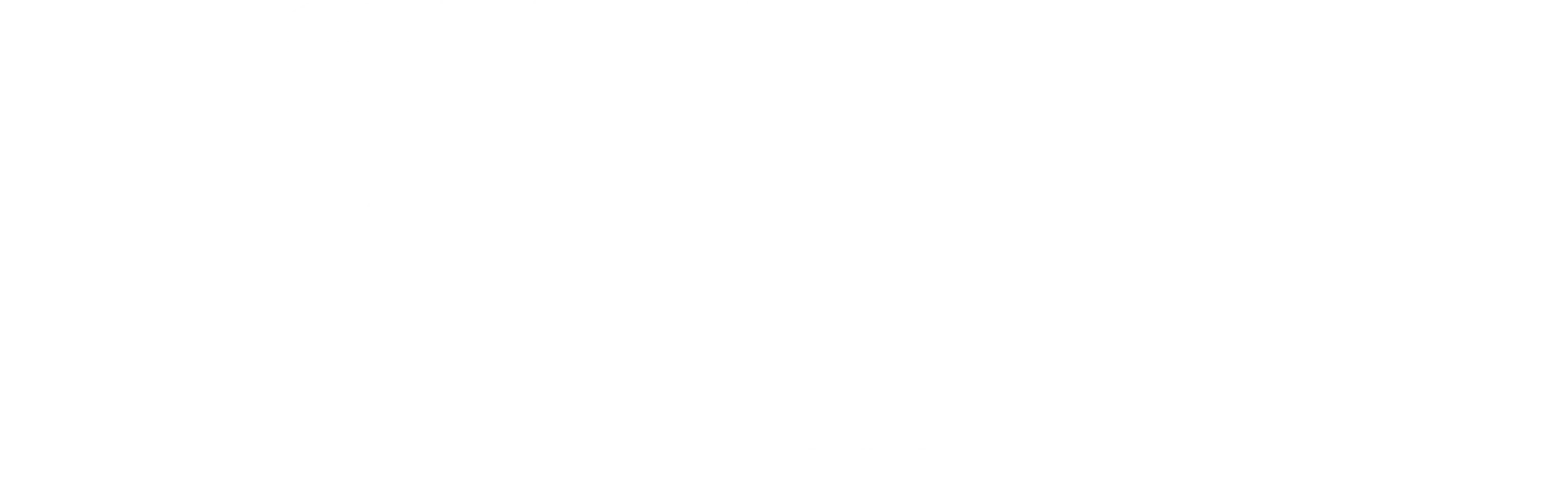 나이트 패트롤