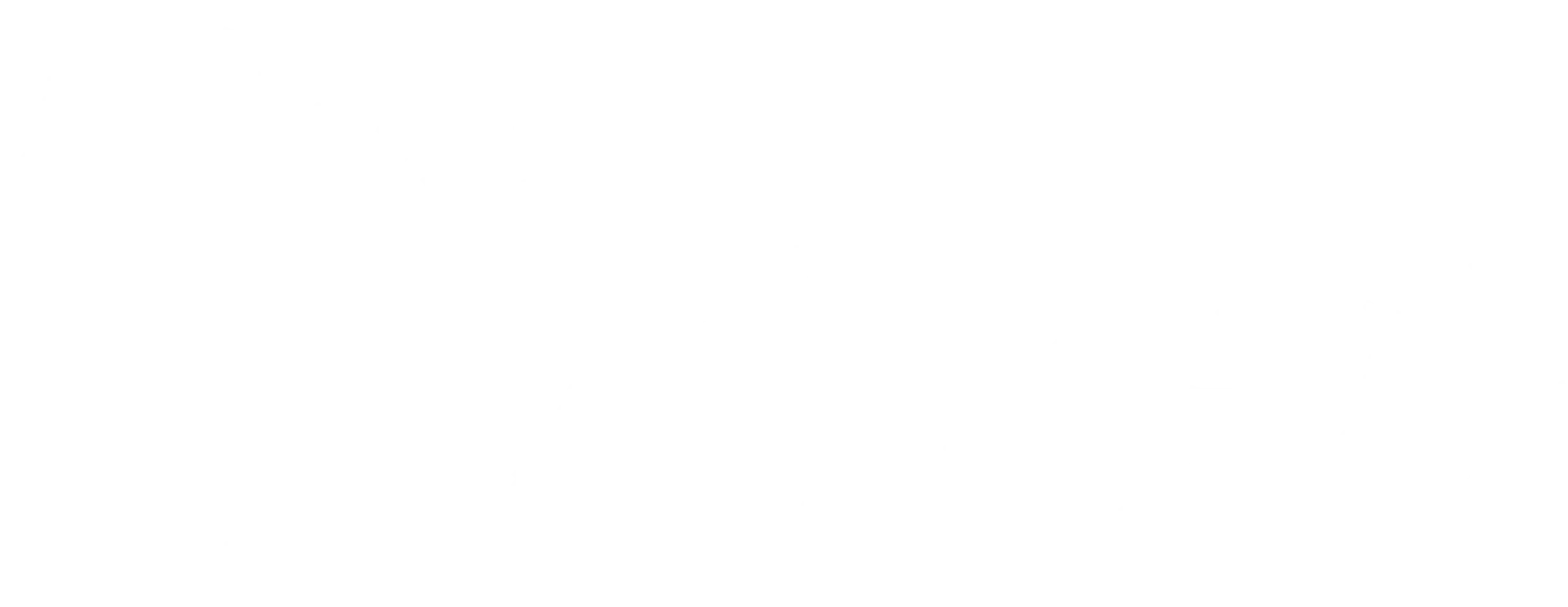 새댁의 금지된 정사