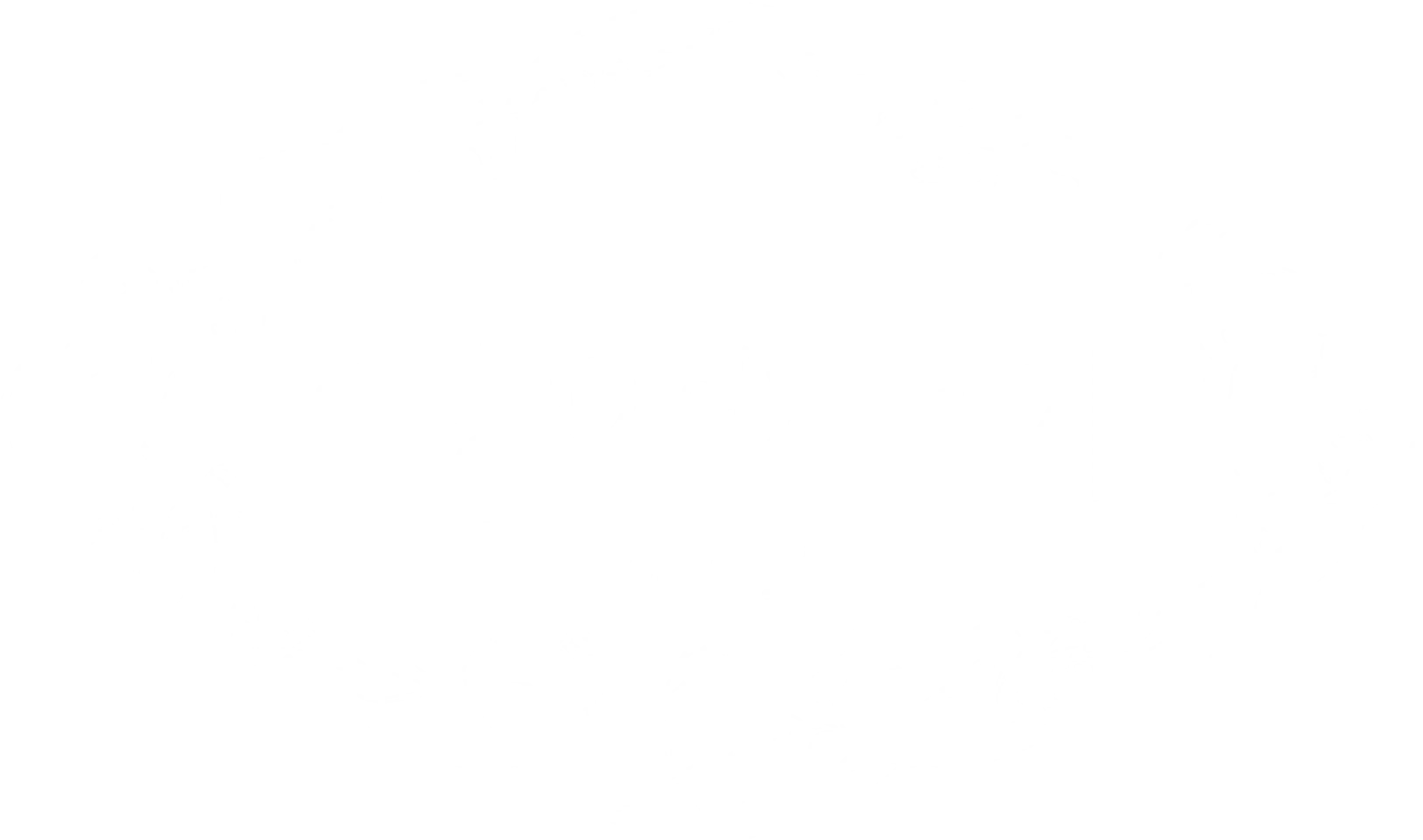 호랑이에게 날개 part2