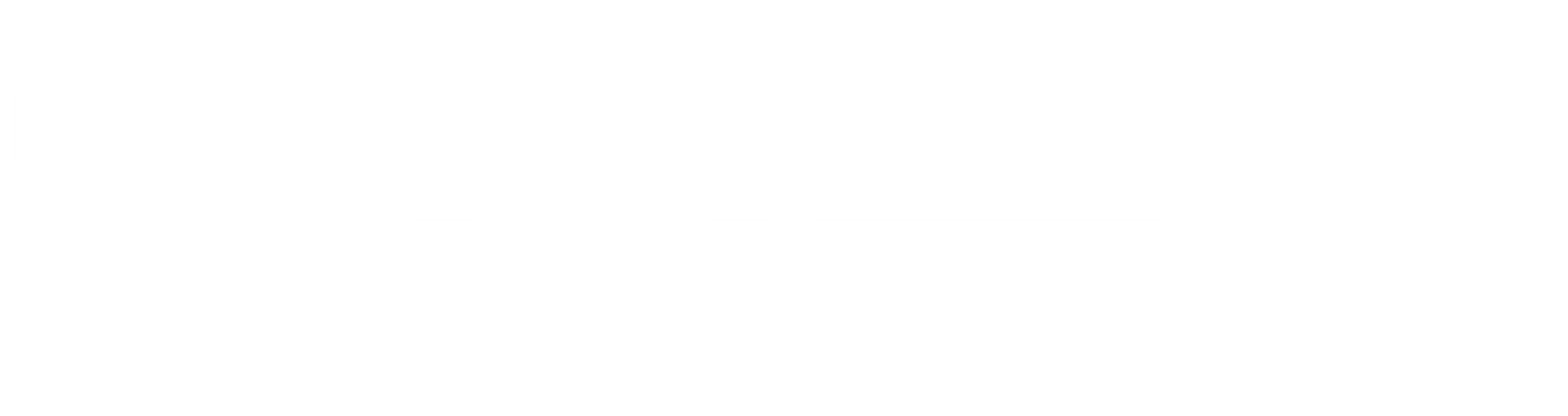 영업일지