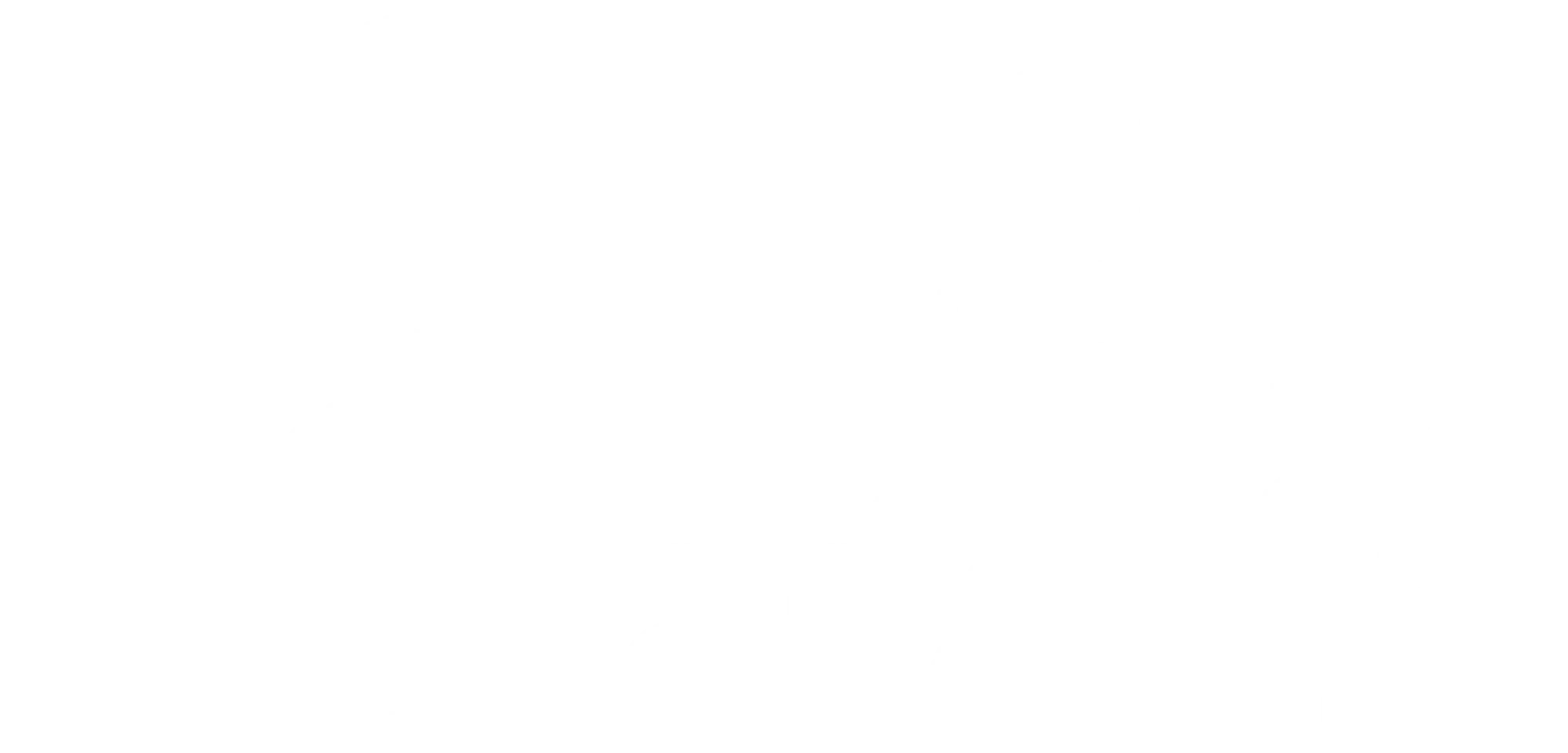 메이드의 이중생활