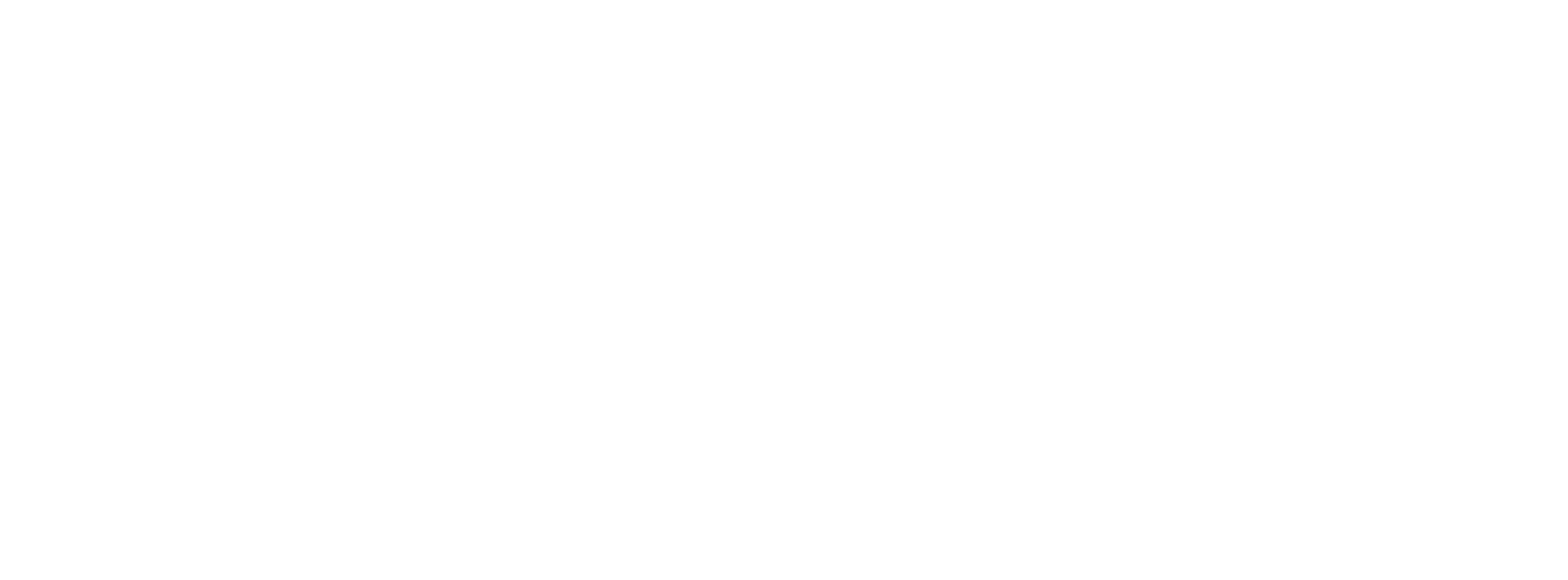 악인들: 작전광도