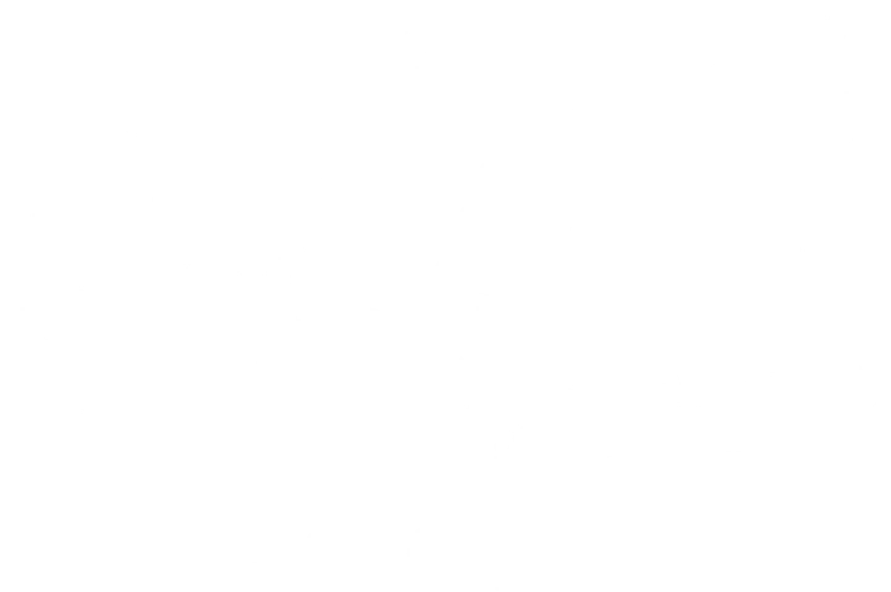 독전: 최후의 보스
