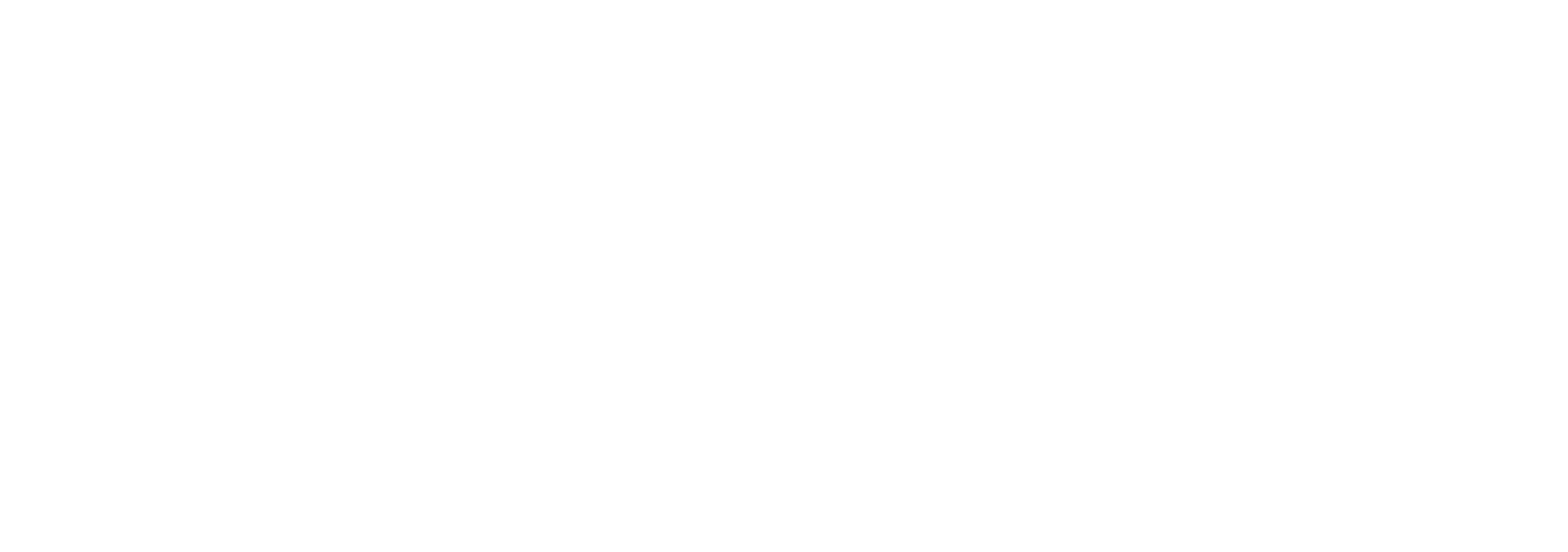마담 프레지던트