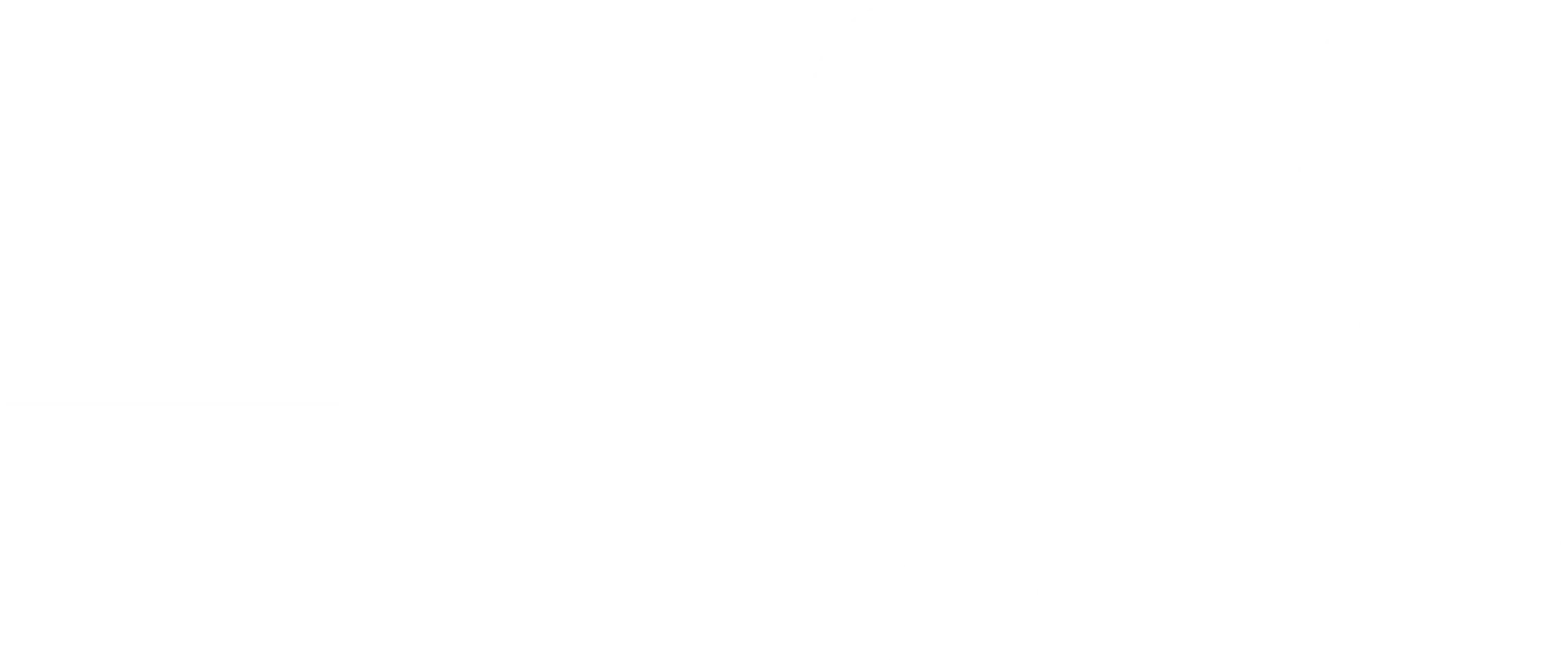퓨리어스